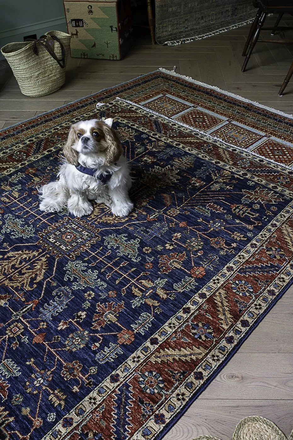 rugs-29520-shumaker.jpg