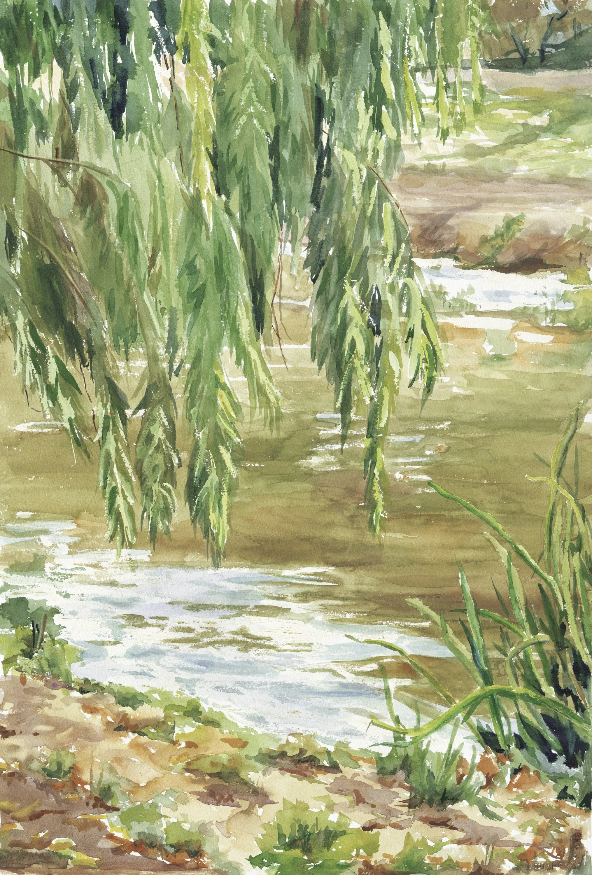 Willow Tree-  Elizabeth Martin