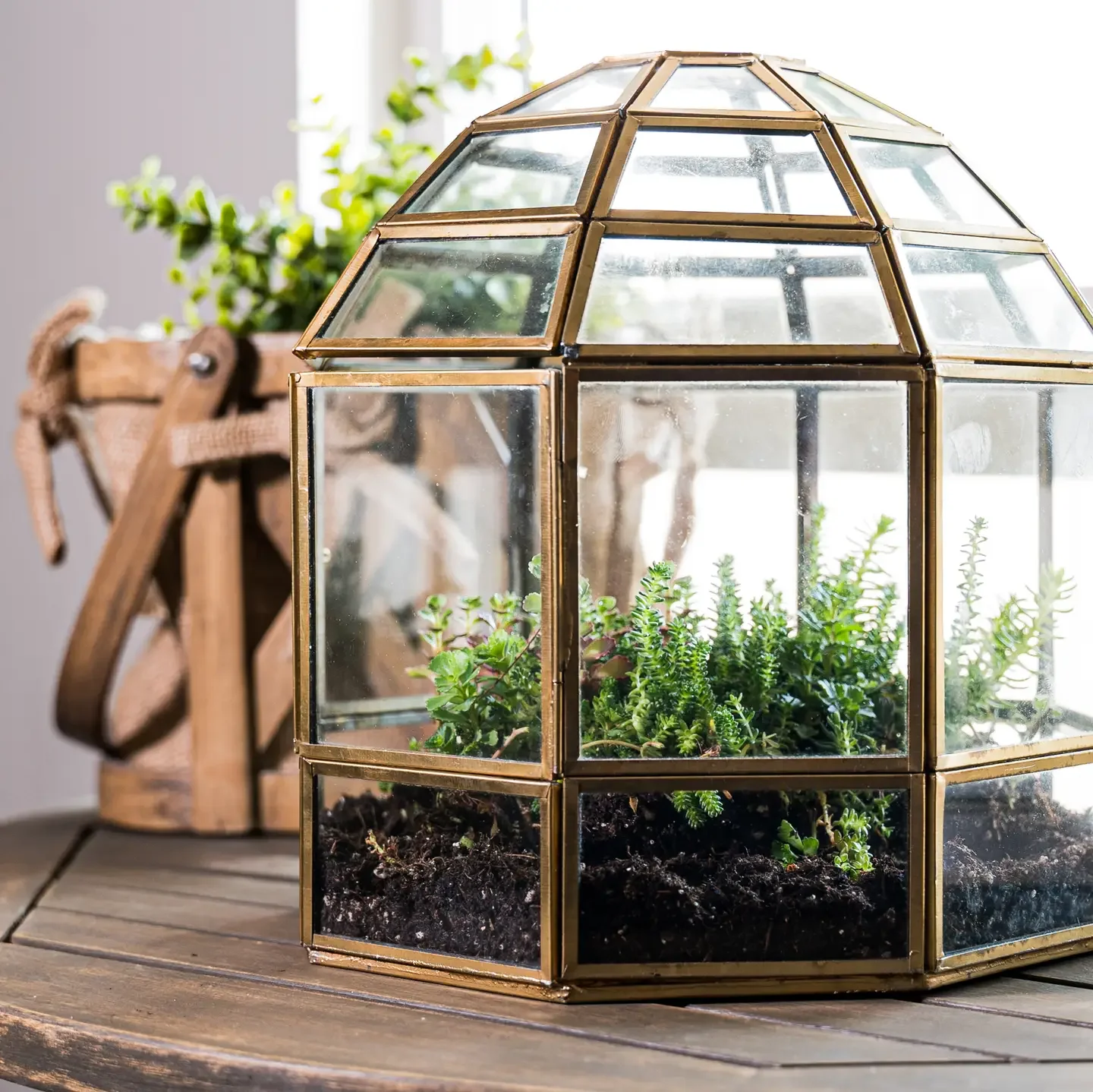 "The Gardenroom" Terrarium