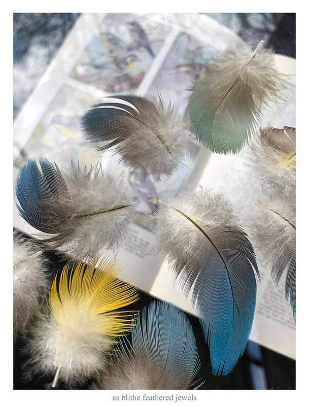 SHUMAKERCURATED- AS BLITHE FEATHERED JEWELS.jpg
