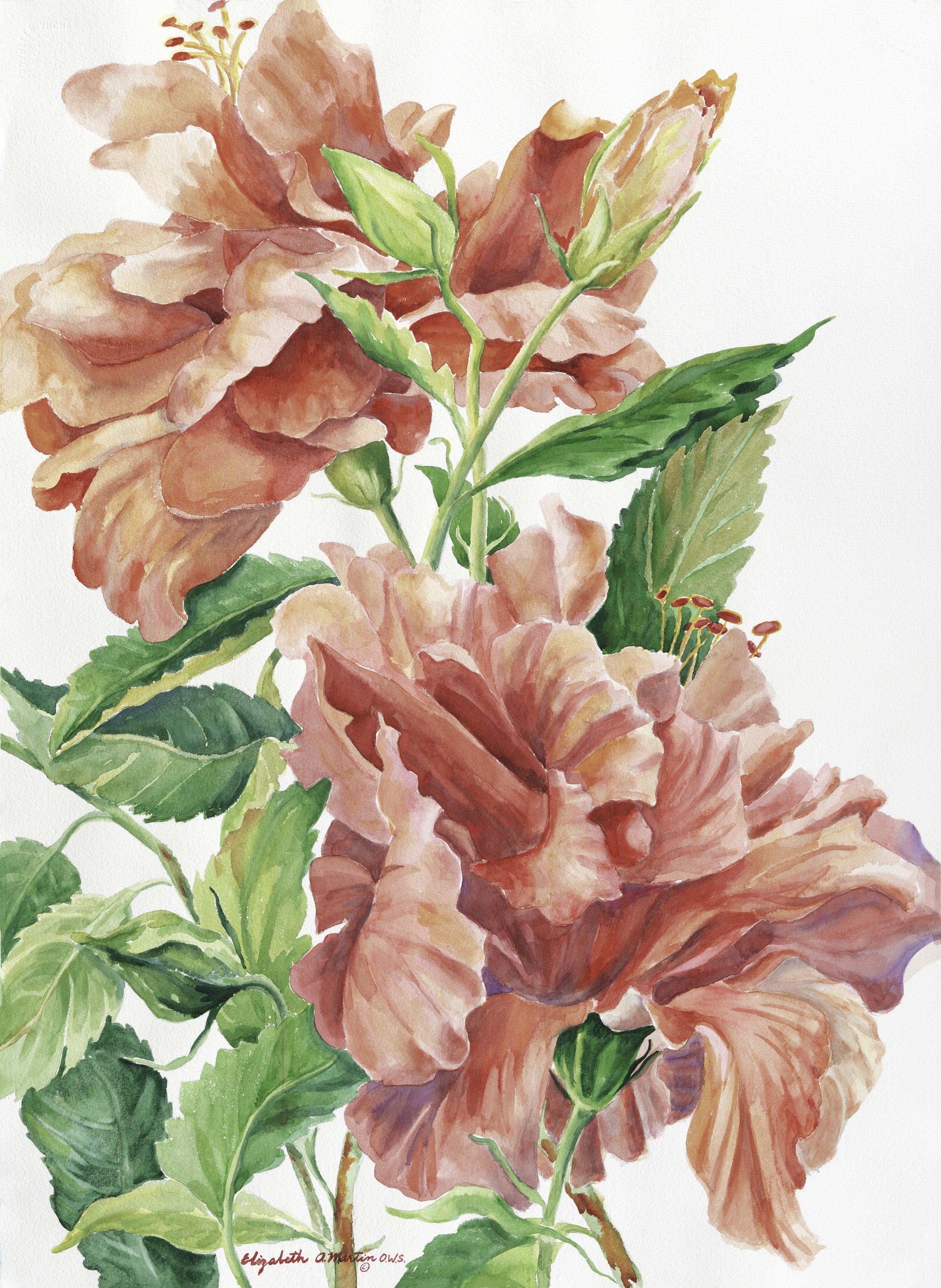 redhibiscus2-shumakercurated.jpg