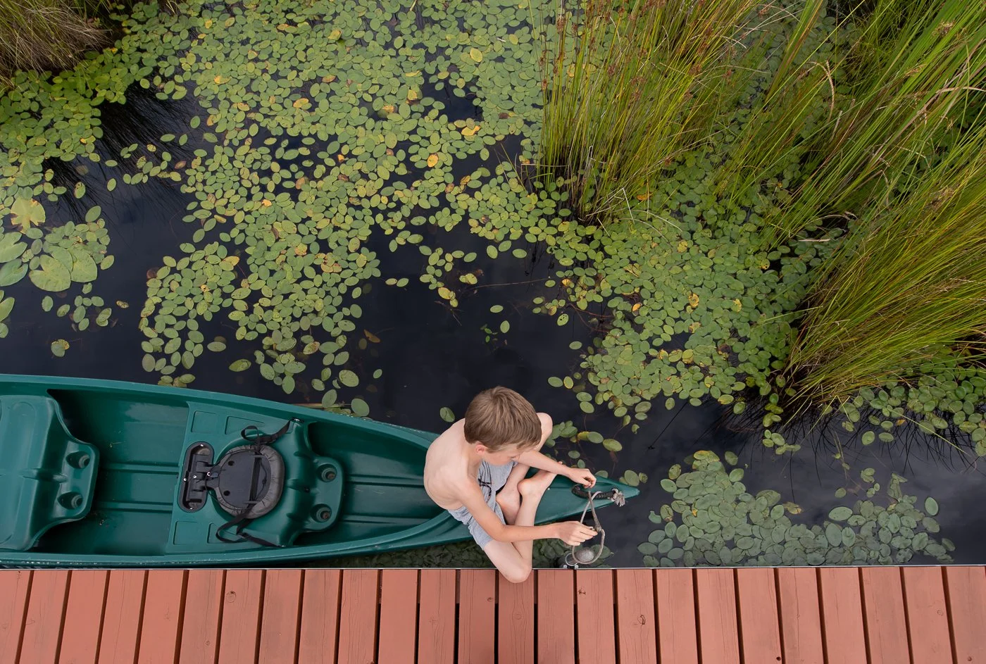 ShumakerLilyPad_9.jpg