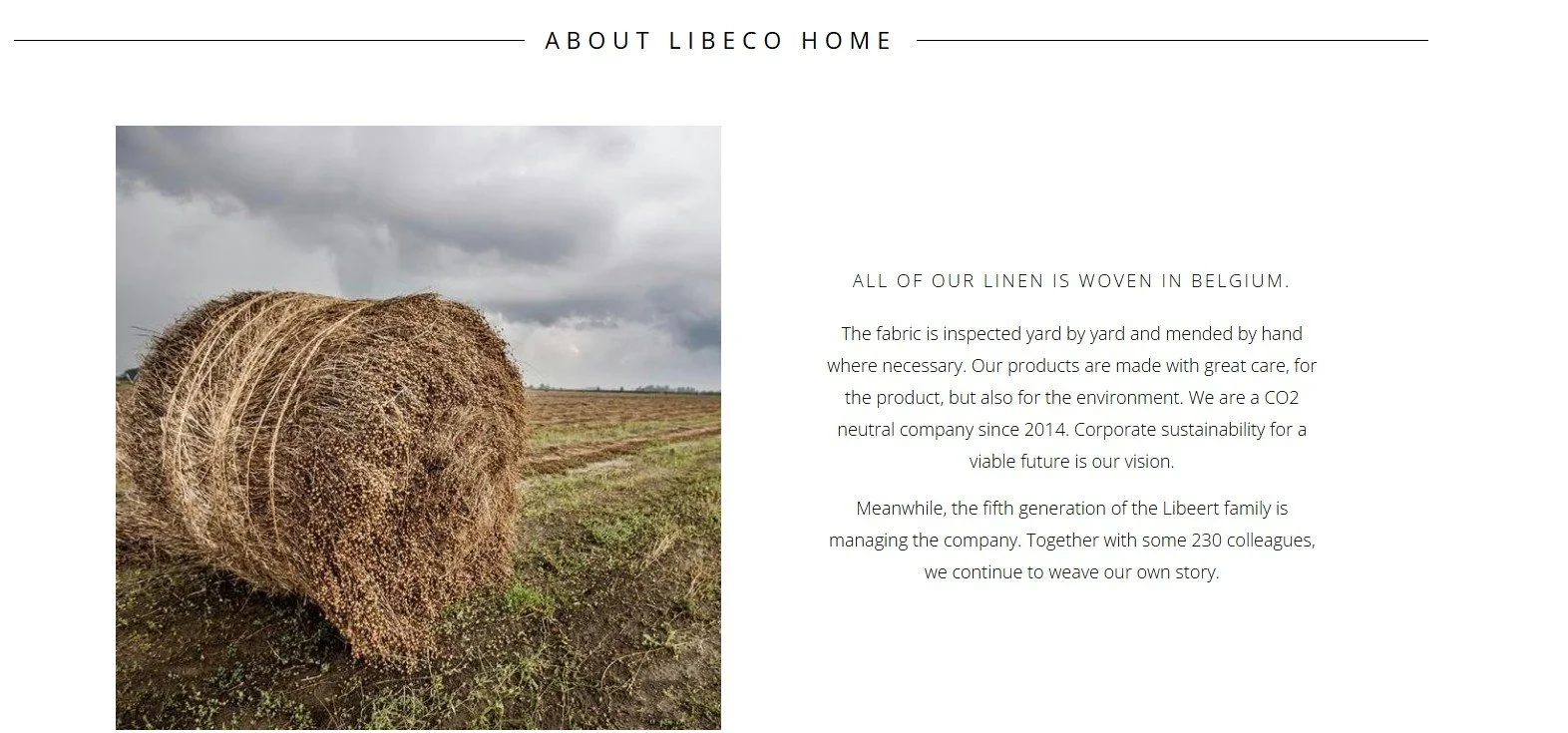 libeco-flax-shumakercurated.jpg