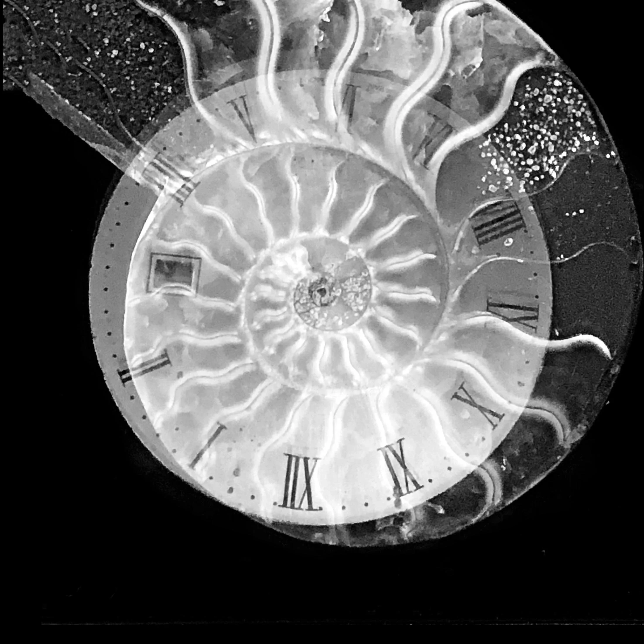 timepiece18-meridian-shumakercurated.jpg