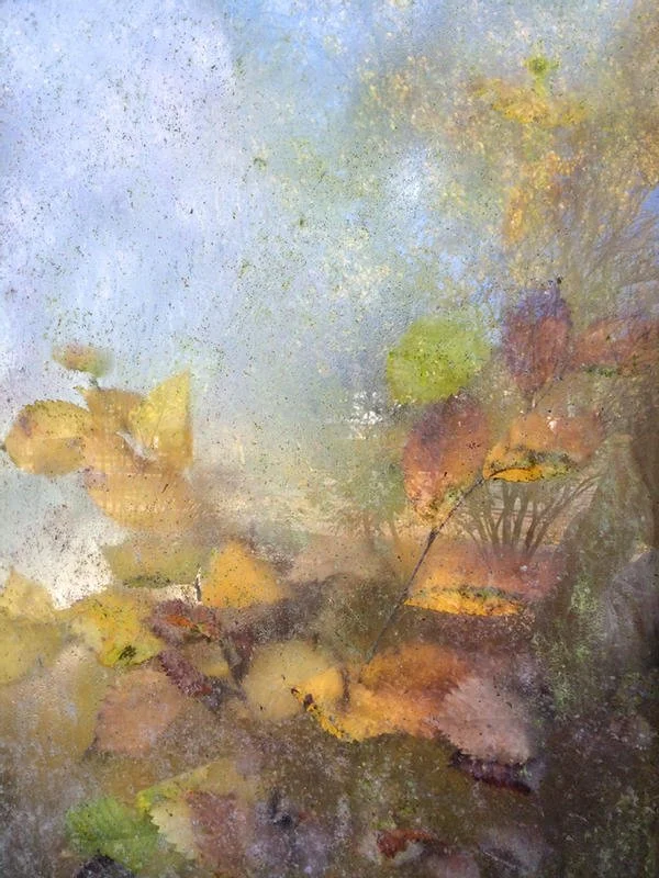 SHUMAKERCURATED GREENHOUSE4.jpg