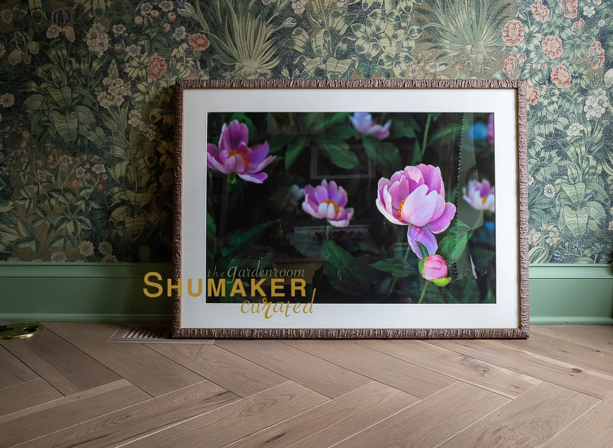 Mom's Peonies- Photographer Suzanne Shumaker 