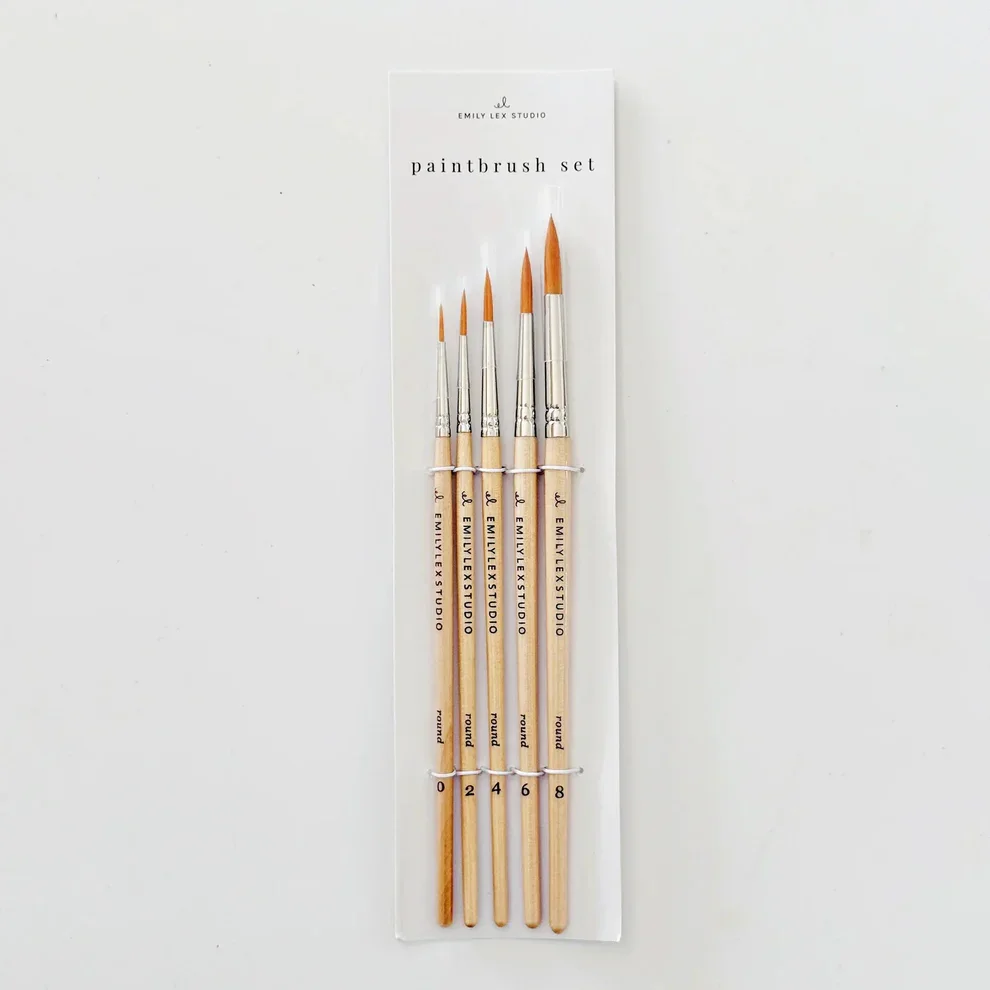 Paint brushes - Emily Lex Studio