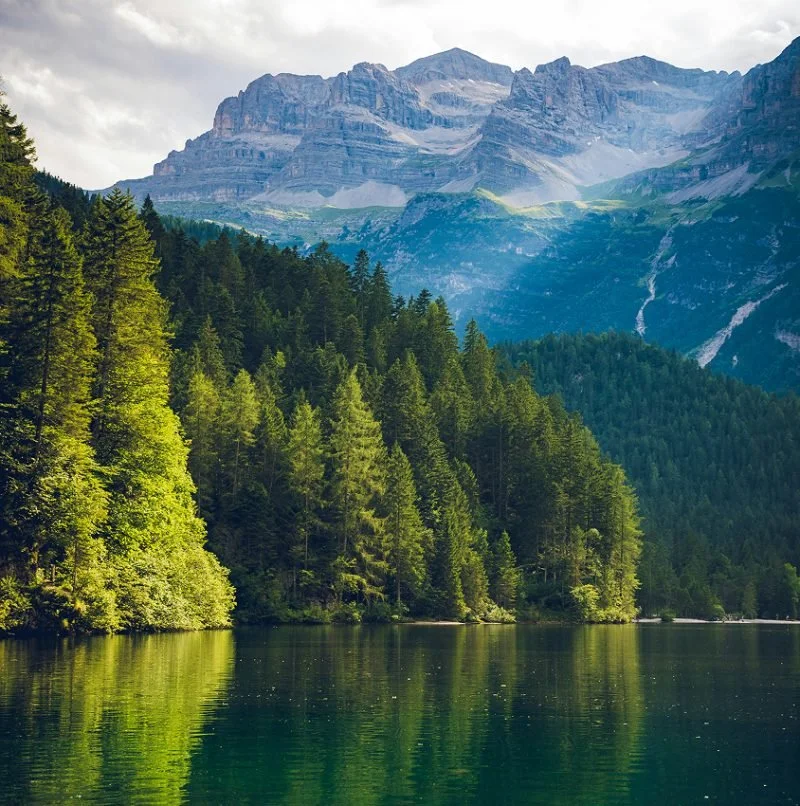 A tree-lined lake with a mountain range in the background.