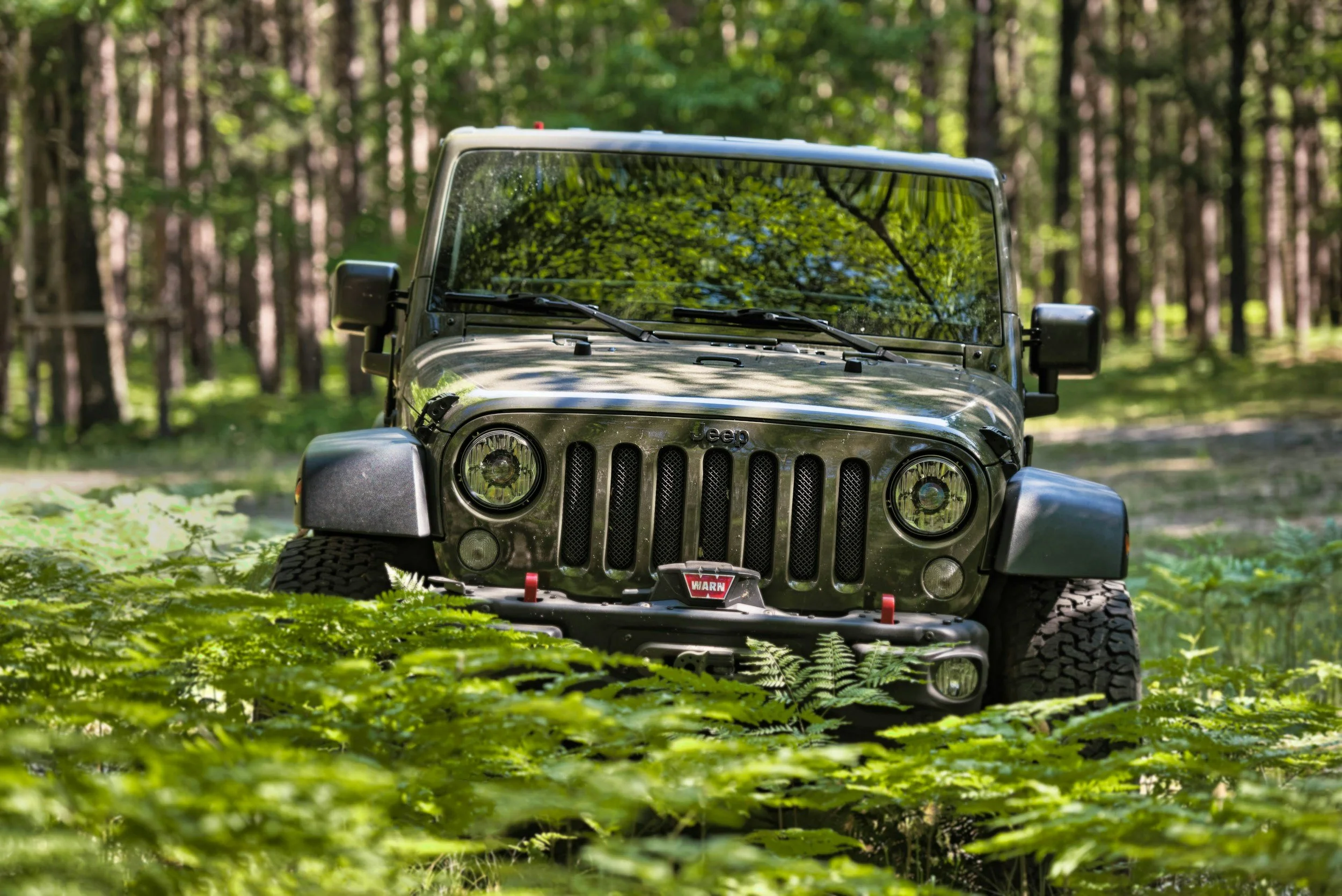 Front view of a Jeep Wrangler parked in a lush green forest with sunlight filtering through the trees.
