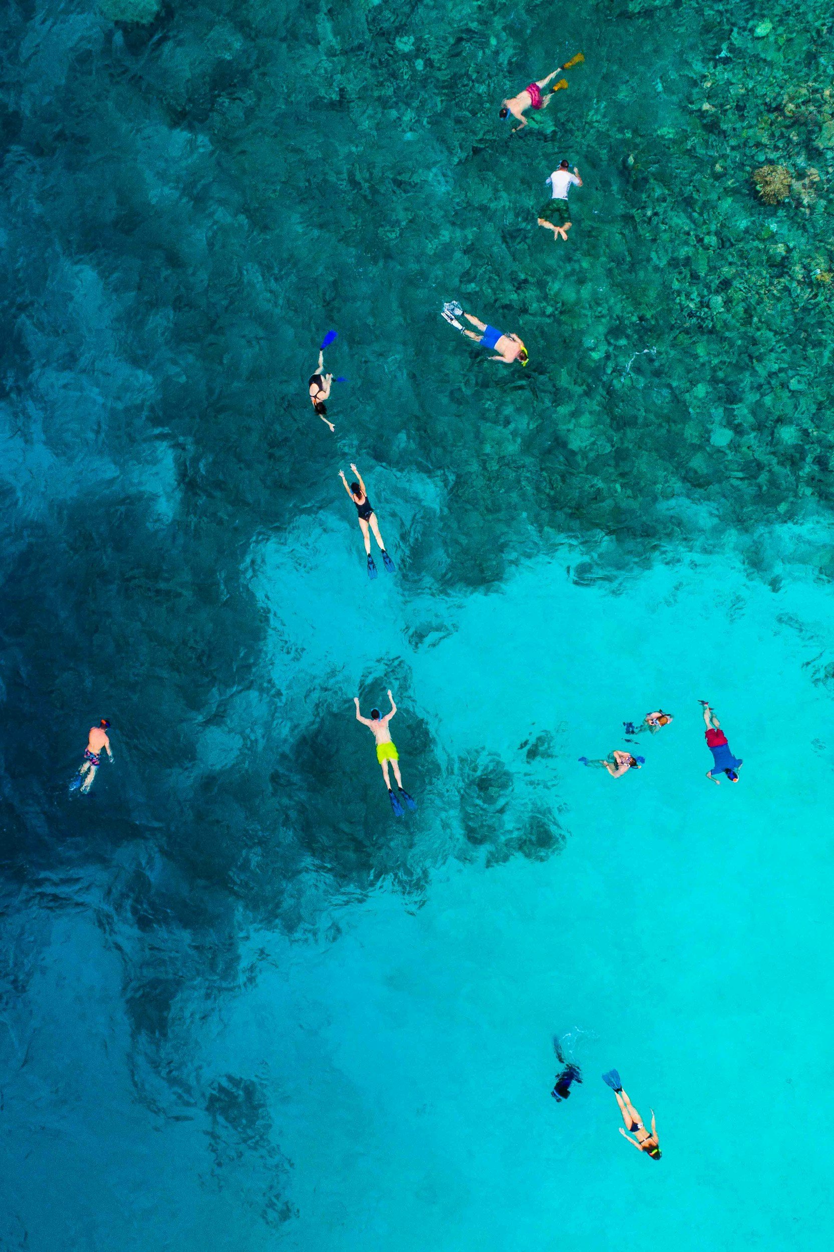 People snorkeling and swimming in clear blue water near a coral reef.
