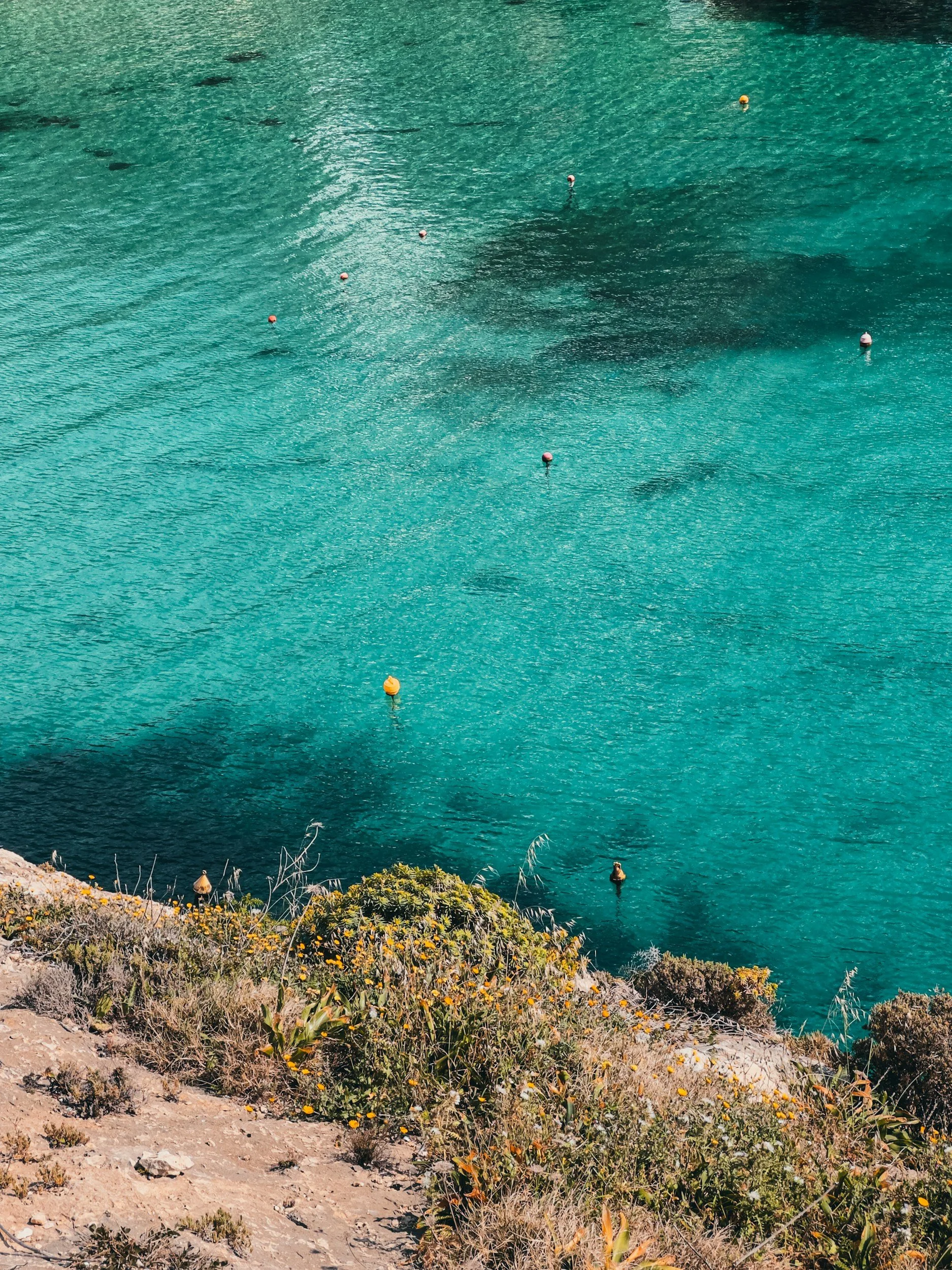 View of clear turquoise water from a cliff with several colored buoys floating on the surface and some plants at the edge of the cliff.