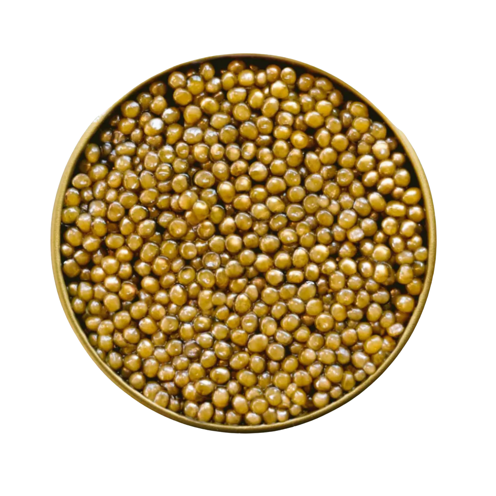 Marigold Oscietra. Hand selected and named by our chef partner, Austin Waiter, to embody the spirit of Marigold Club in Houston. Coming from China, this fine expression of Gold Oscietra is rich, early, and has an almond butter finish.