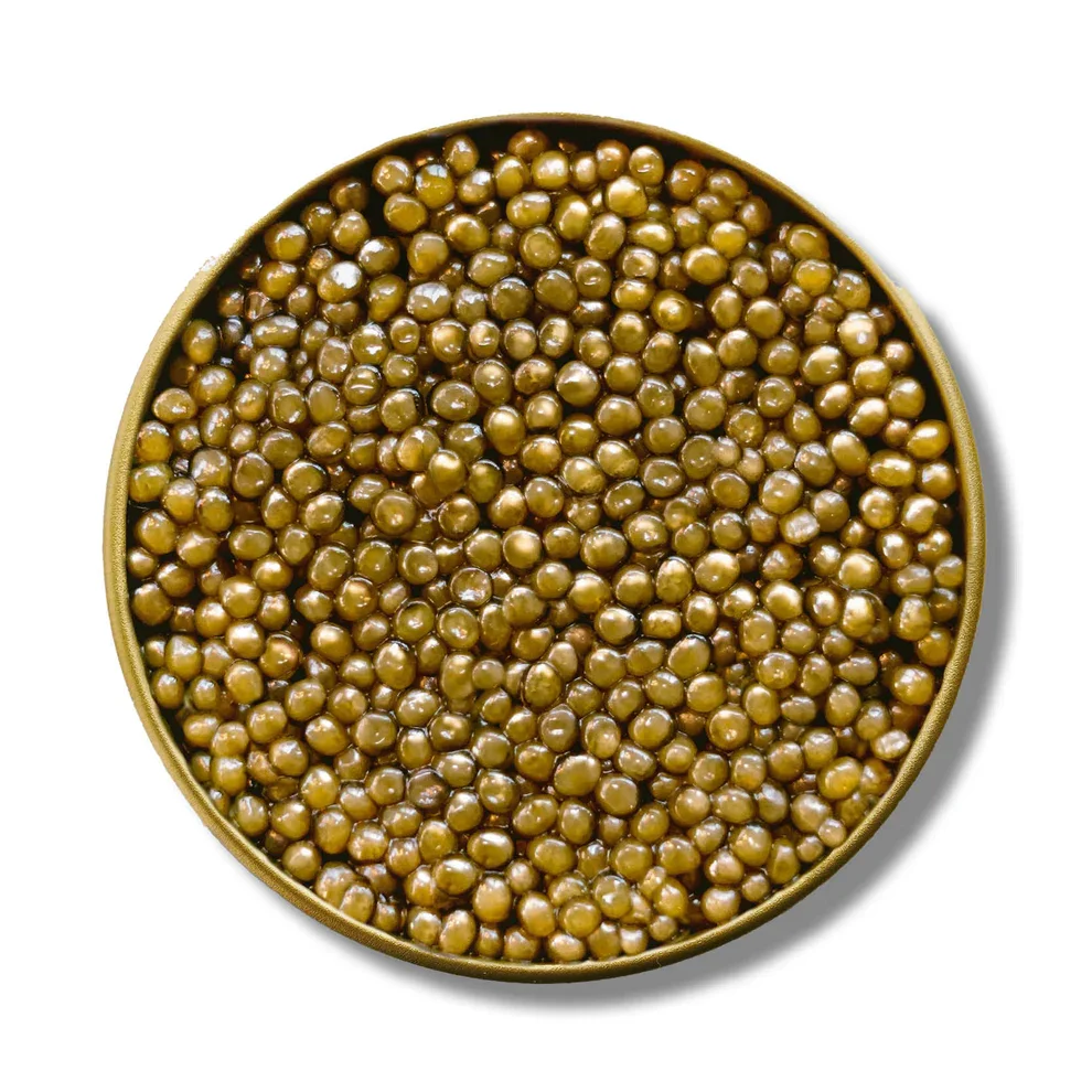 CAVIAR-4_efd1abde-212f-4e2e-b83e-b5bcbc012cd5.webp