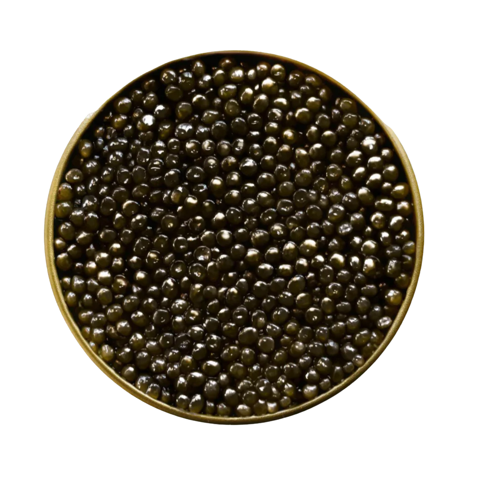 Beluga Hybrid. Described by our COO Alayna Steinman as the 'wagyu of caviar', this dreamy caviar comes from Bulgaria. Earthy, buttery, nutty. 