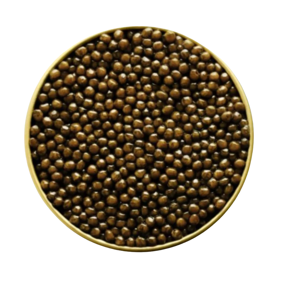 Kaluga Hybrid. High on culinary versatility, and the caviar that you see the most often in restaurants. It's mild, creamy, and has a nice salinity. 