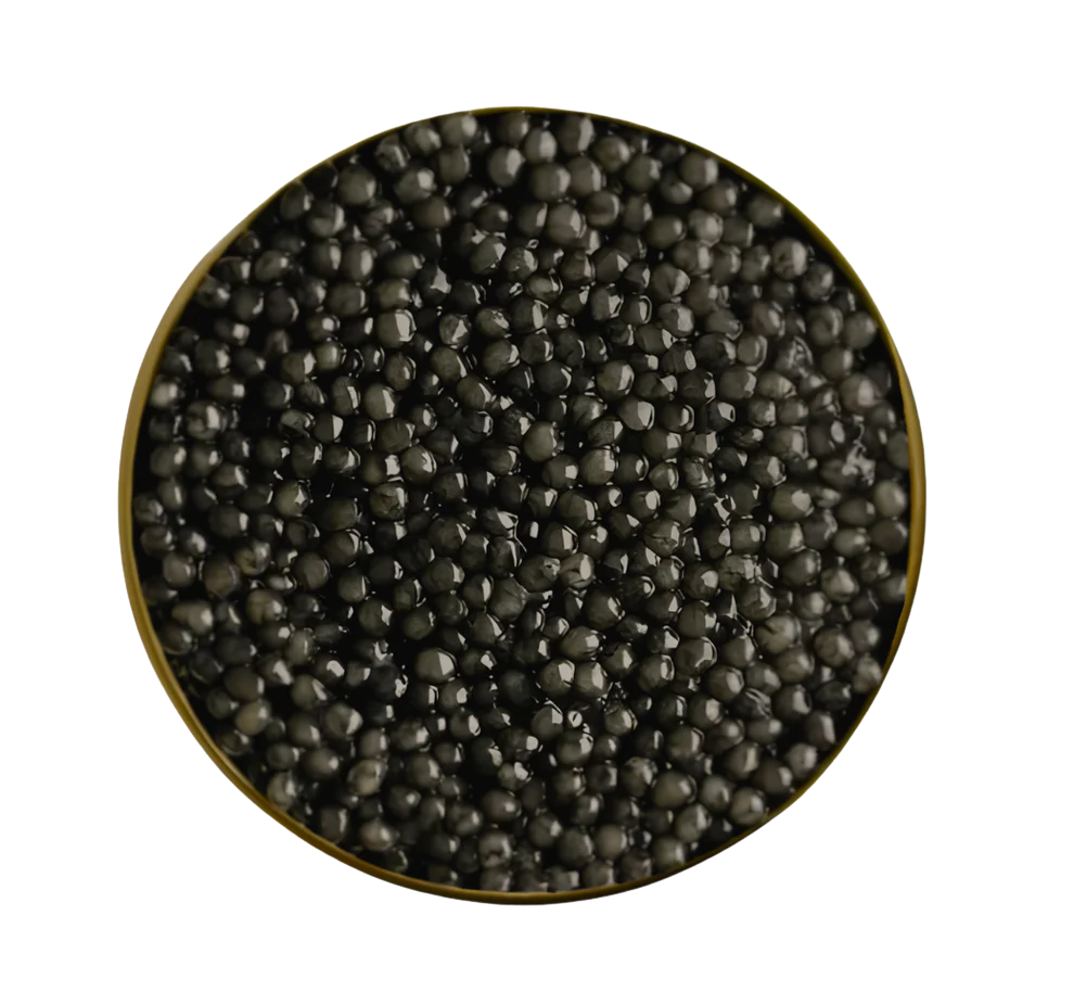 Oscietra de la Sombra. 


An exclusive offering from an incredible farm in Spain. Named for its alluring dark hue.


Rich, savory, nutty, with a cacao finish. 