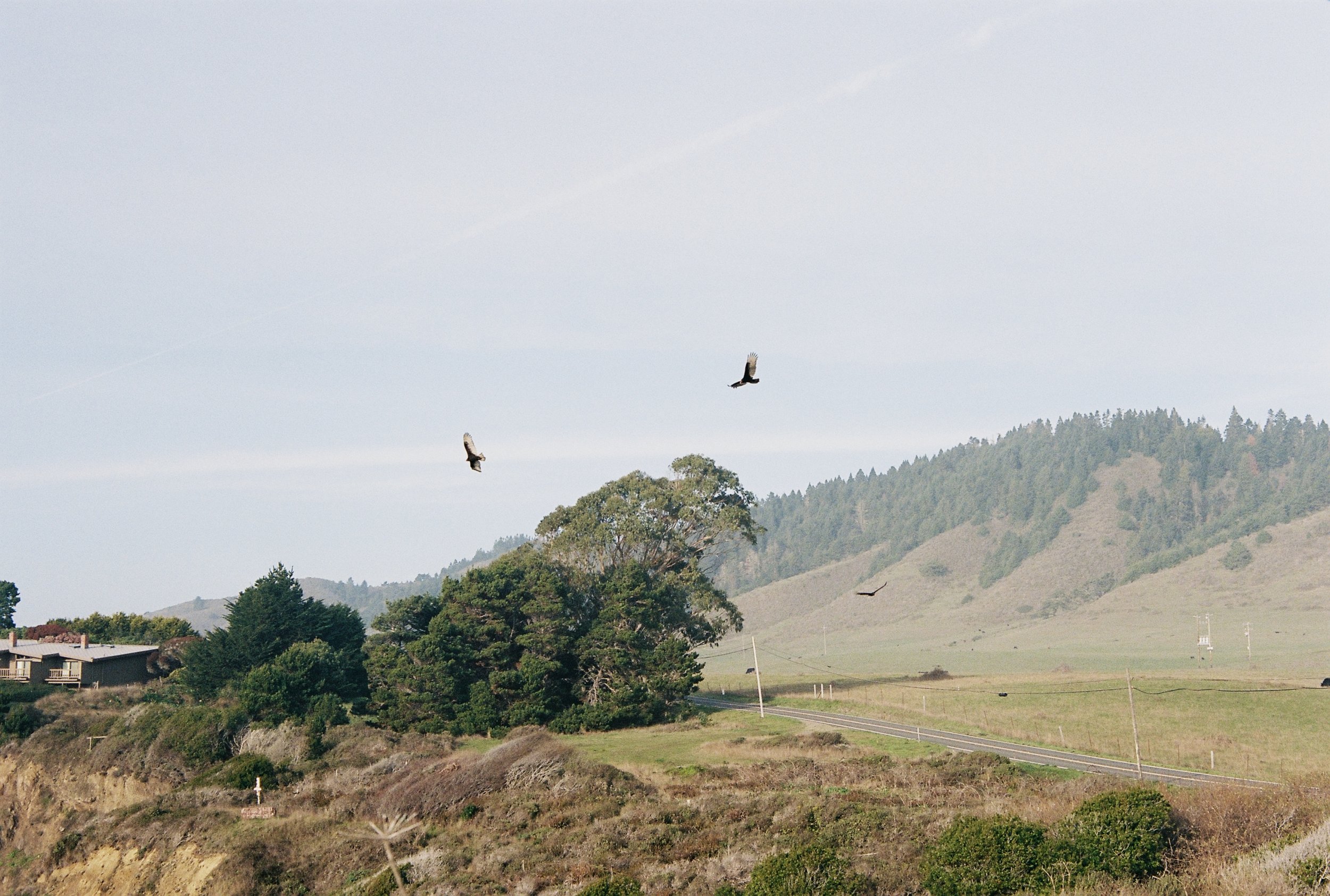 Capturing moments Through Photography 