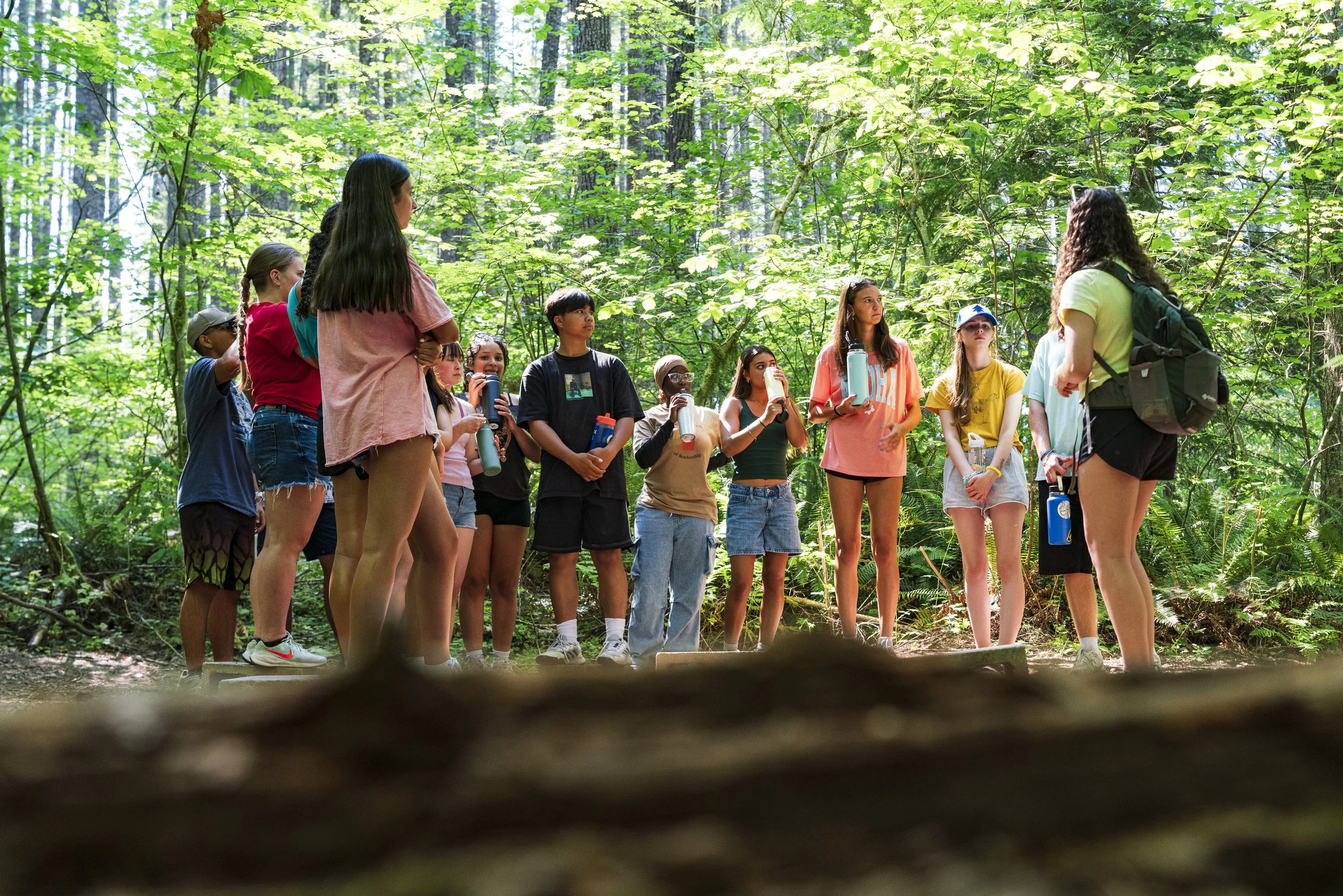 A group of children and a woman standing in a forest, possibly on a nature hike or outdoor educational activity, with sunlight filtering through the trees.