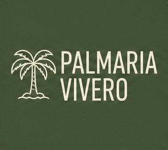 [contenido-para-redes-sociales]-[marcas-de-plantas-terrarios-cactus-personalizados]-[exoticas-unicas]-[regalos]-[vender-mas]-[mas-exitosos-mejor]-[bogota-colombia].[somos-futuro-visual]-futuro
