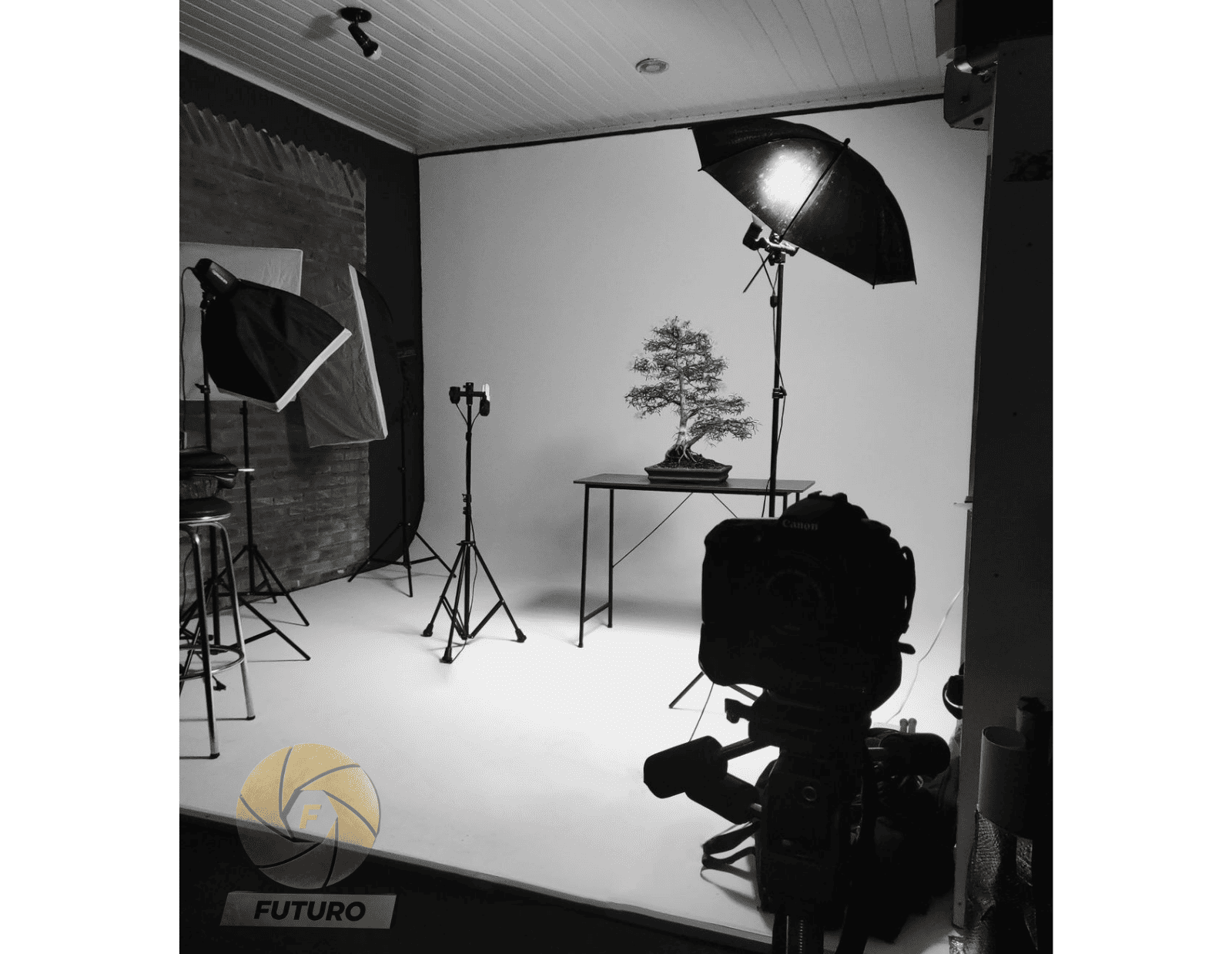[fotografia-de-producto-profesional]-[sesion-de-fotos-para-emprendimiento]-[eleva-el-aspecto-de-tus-productos]-[plantas-bonsai]-[bogota-colombia]-futuro.png