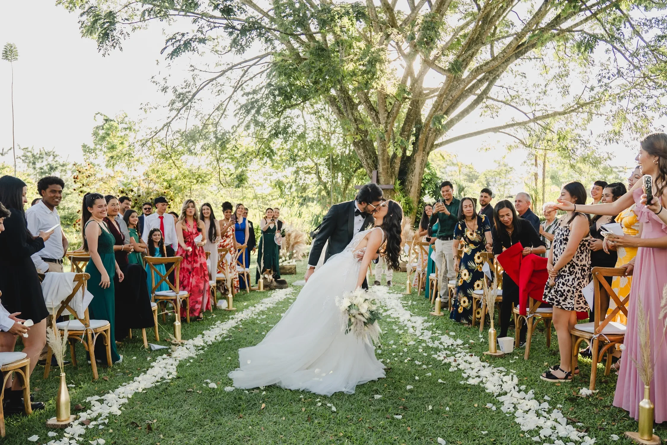 Una pareja se besa en una ceremonia de boda al aire libre, rodeada de amigos y familiares. La ceremonia se lleva a cabo bajo un árbol grande en un entorno natural, con sillas decoradas y un pasillo lleno de pétalos blancos.