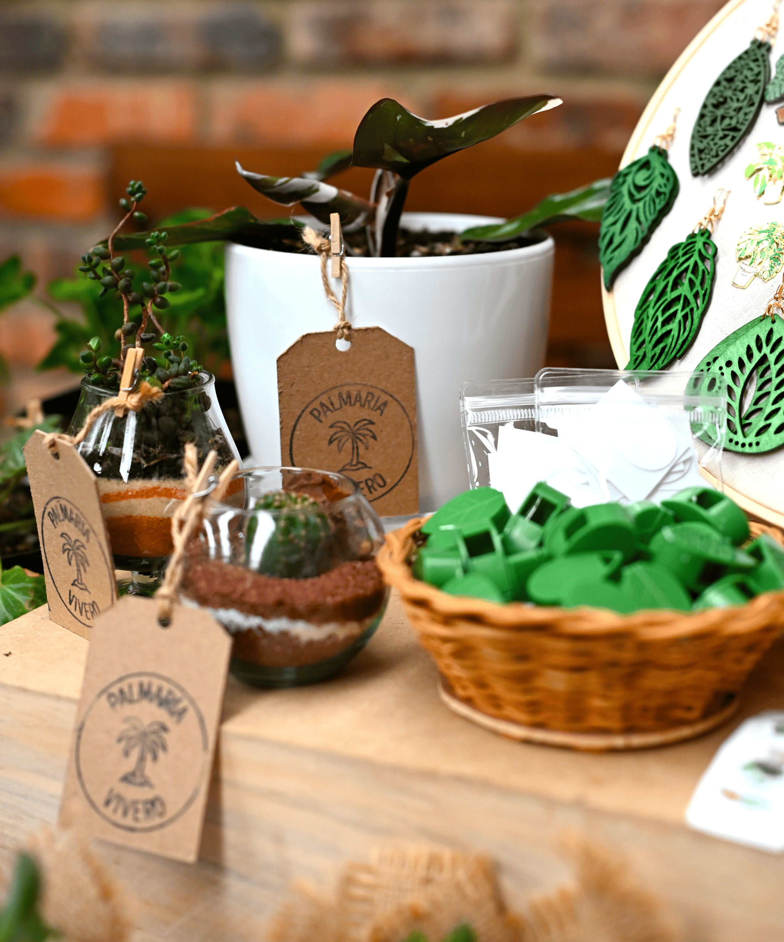 [fotos-plantas-profesionales]-[bogota-colombia]-futuro.png