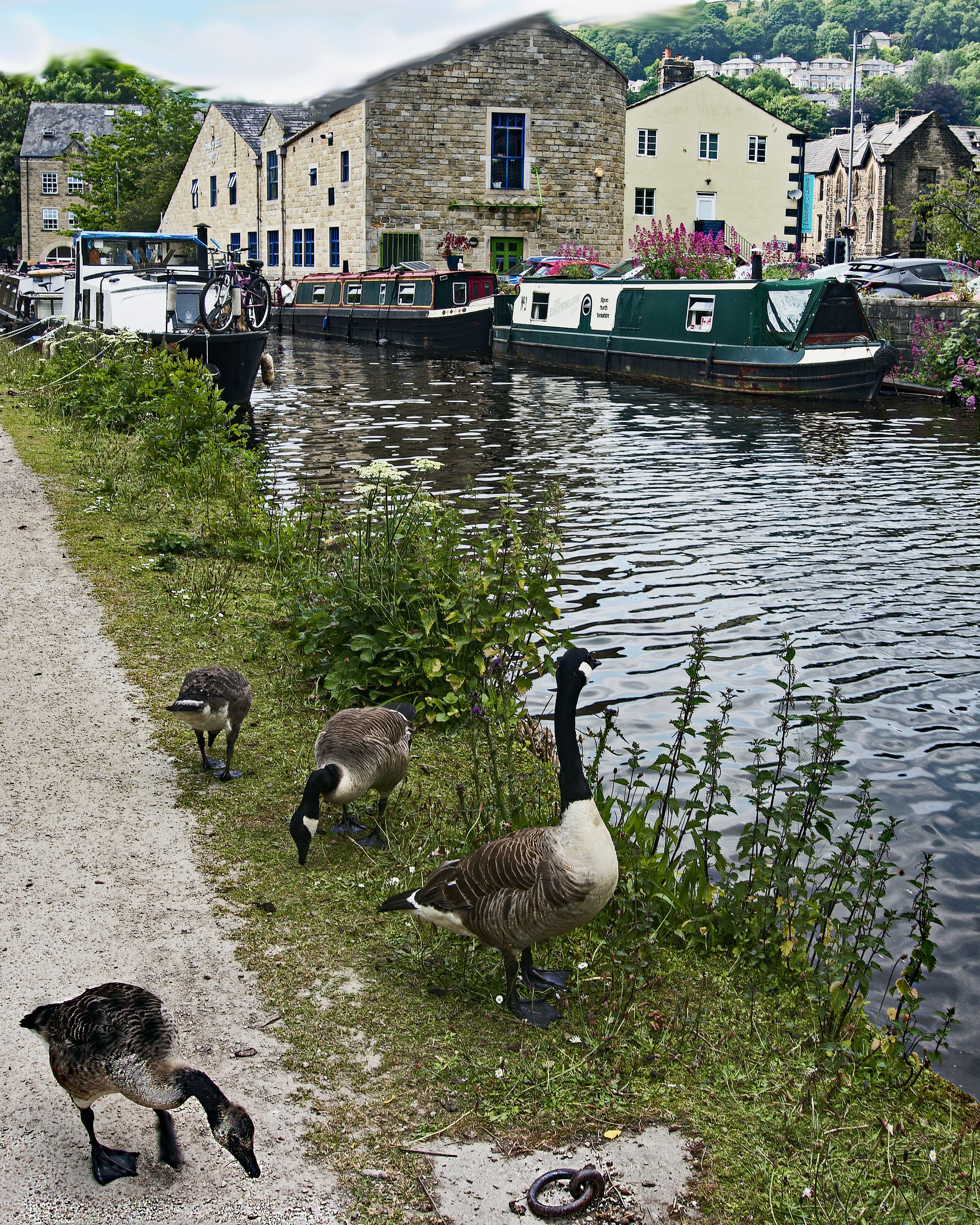 Canal at Hebden Bridge .jpg