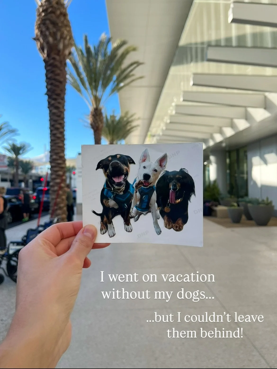 We just got back from a long weekend in (sort of) sunny Southern California. ☀️ It was nice to get away from work and the cold, hike new trails, explore fun neighborhoods throughout San Diego, enjoy unique food and drinks, and spend time with loved o