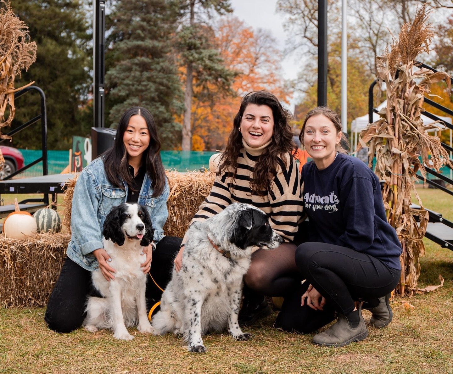 It&rsquo;s Fido Fest day with @contigodogs at @blackstarfarms!! 🍁 I&rsquo;ll be running the @barksandrectc agility course and am so excited to spend the day talking dogs &amp; training. 😊 Stop by if you&rsquo;re in the area for lots of dog goodies 