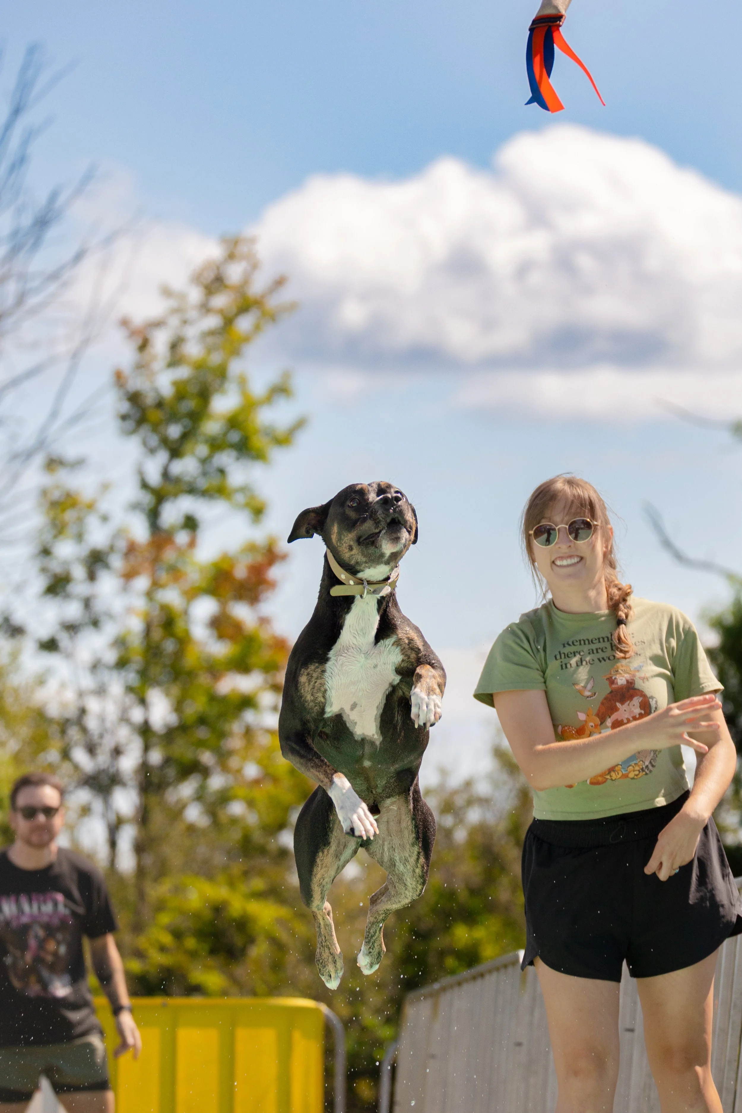 A black and white dog jumping into the air next to a smiling woman wearing sunglasses, with a man standing in the background, outdoors on a sunny day with trees and clouds in the sky.