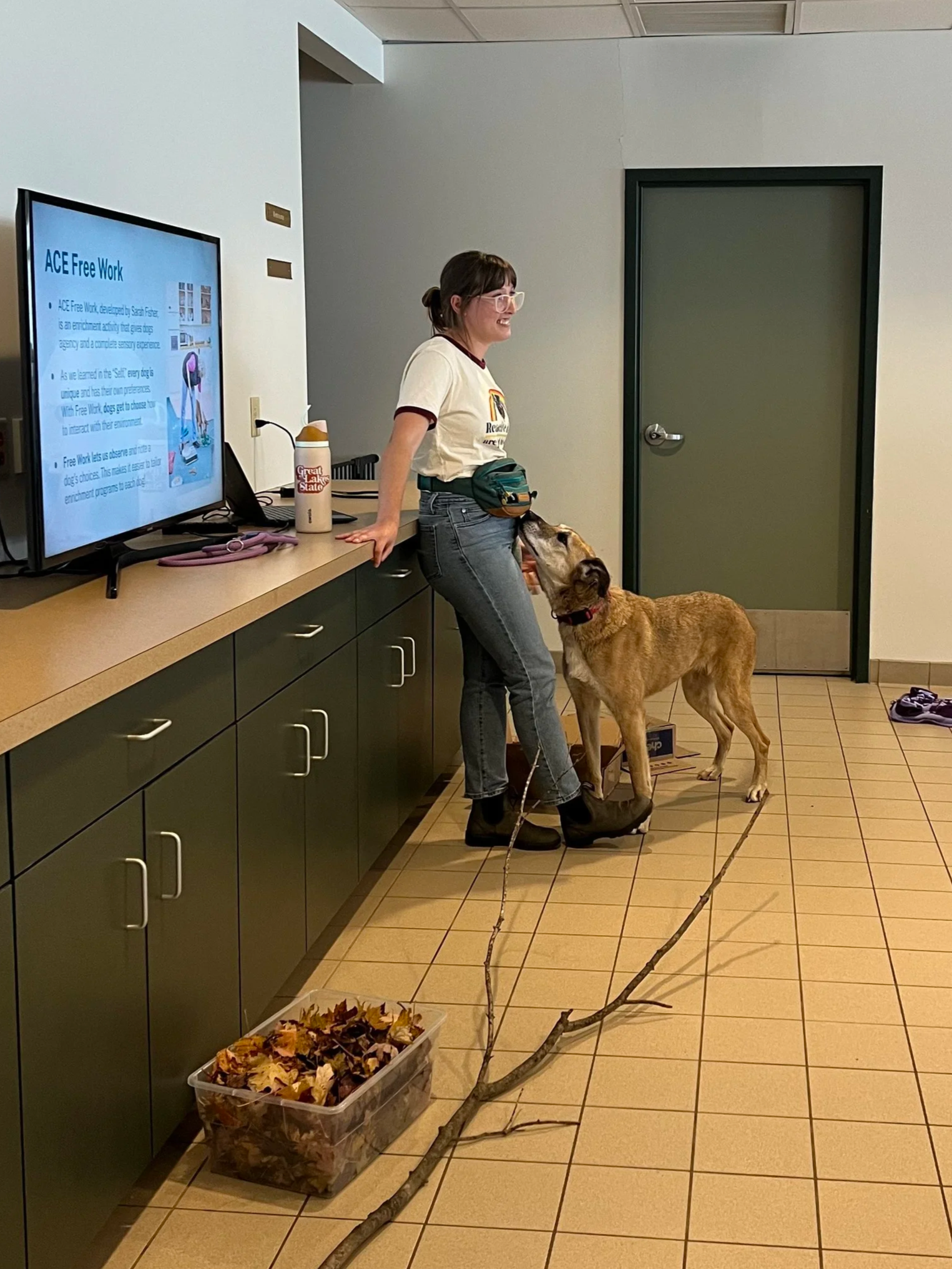 A woman wearing a white t-shirt and jeans is petting a tall brown dog. There is a TV displaying a presentation about ACE Free Work behind her, and some tree branches and dog enrichment items on the floor.
