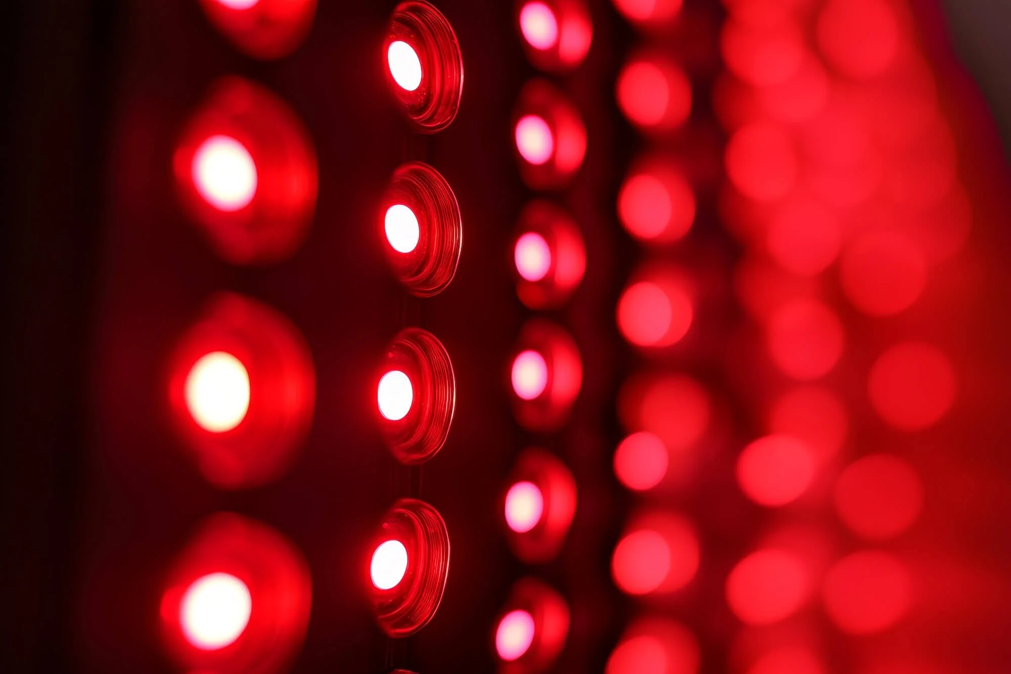 Close-up of red circular LED lights arranged in rows against a dark background, glowing brightly.