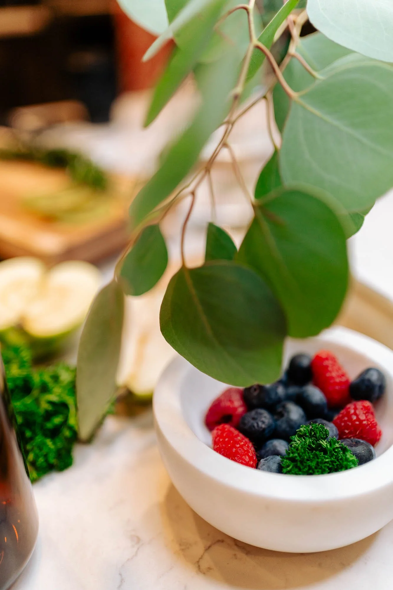 Close-up of a bowl filled with blueberries and strawberries, garnished with parsley, next to a leafy green plant.