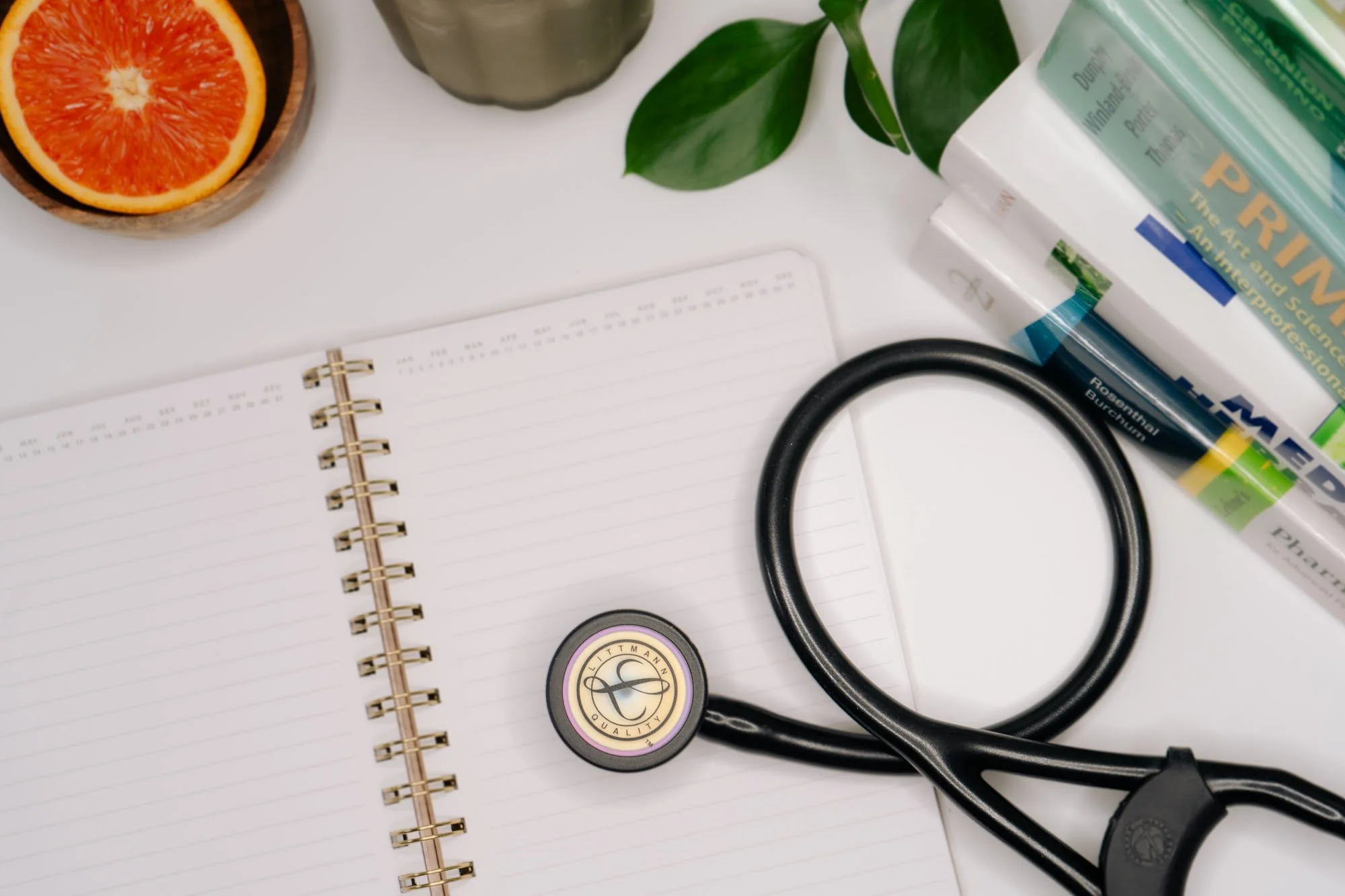 A stethoscope, medical books, a spiral notebook, a sliced orange, and some green leaves arranged on a white surface.