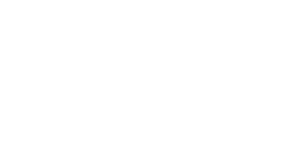 J Lewis Holdings