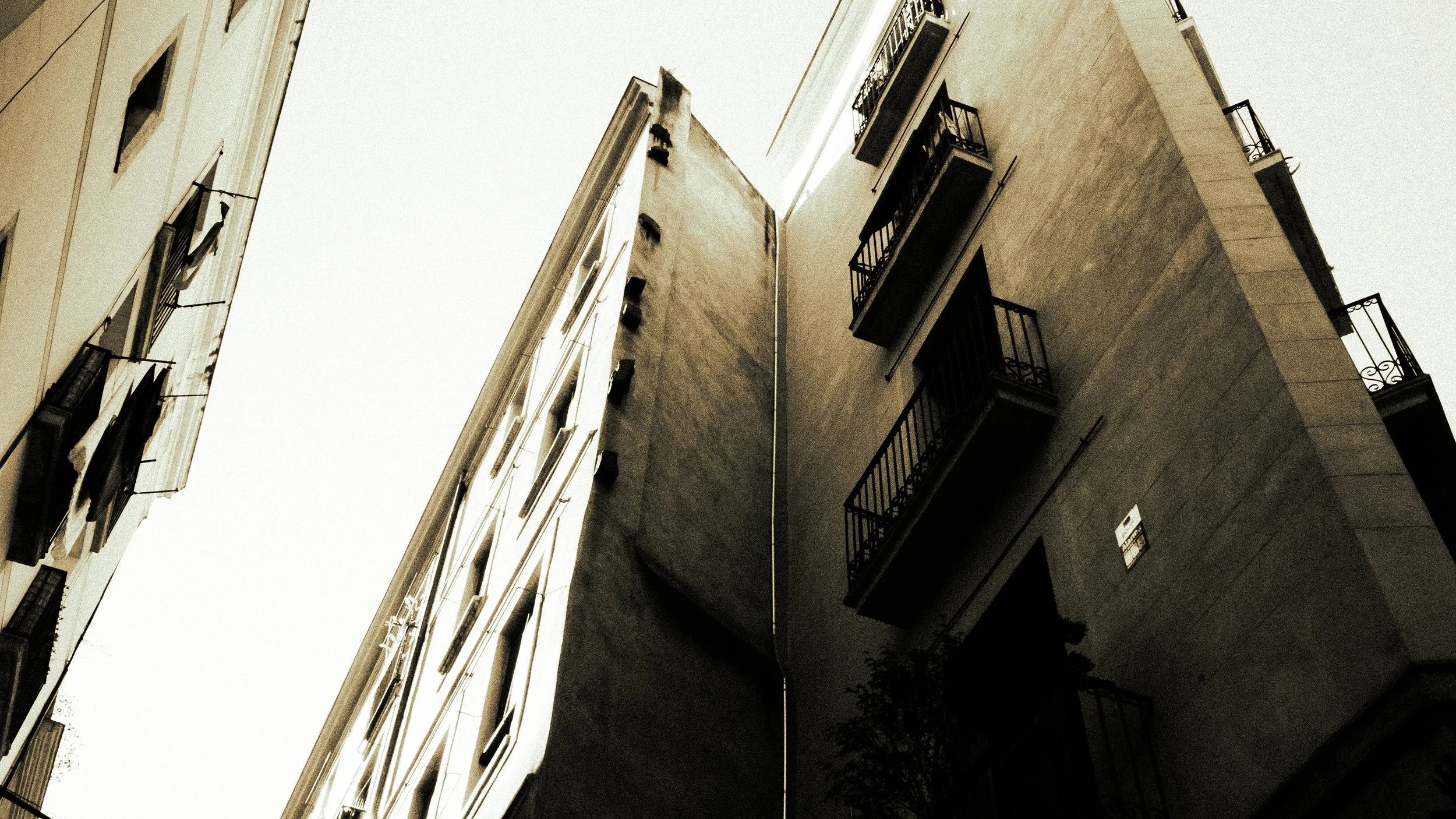 _DSF8045 - Copy.jpg
