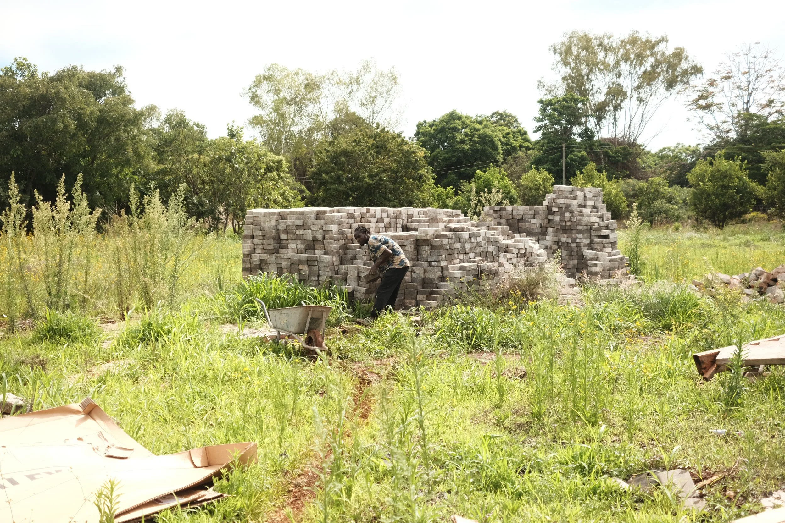 IMG_6650.JPG