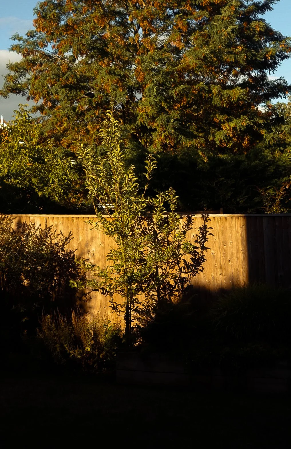 DSCF4996.jpg