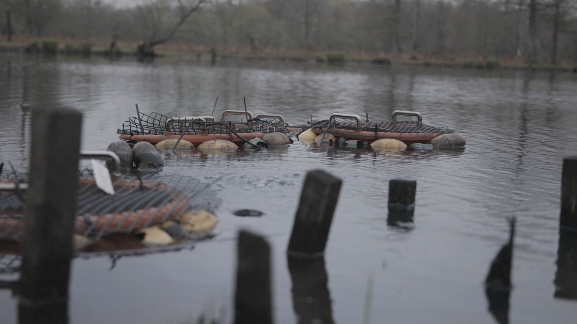 Wildlife Projects & National Parks Service