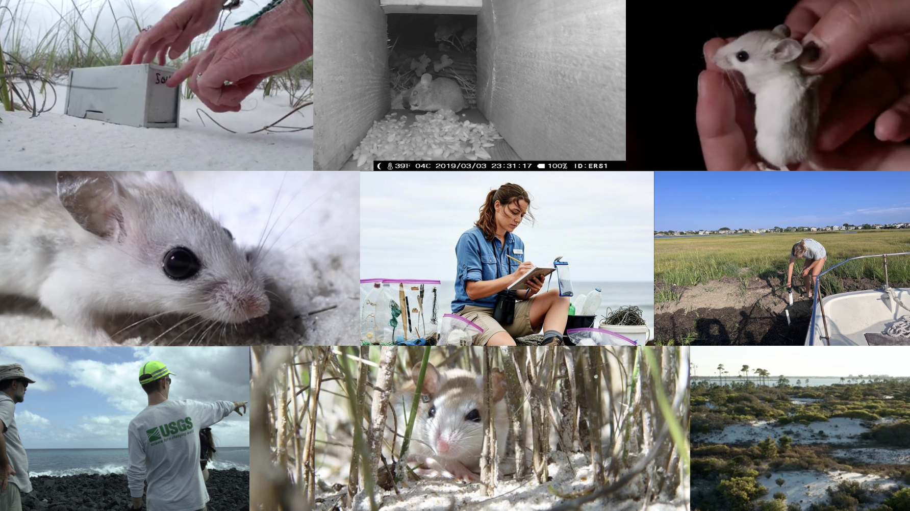 Screenshot 2026-03-16 at 3.54.19 PM.png