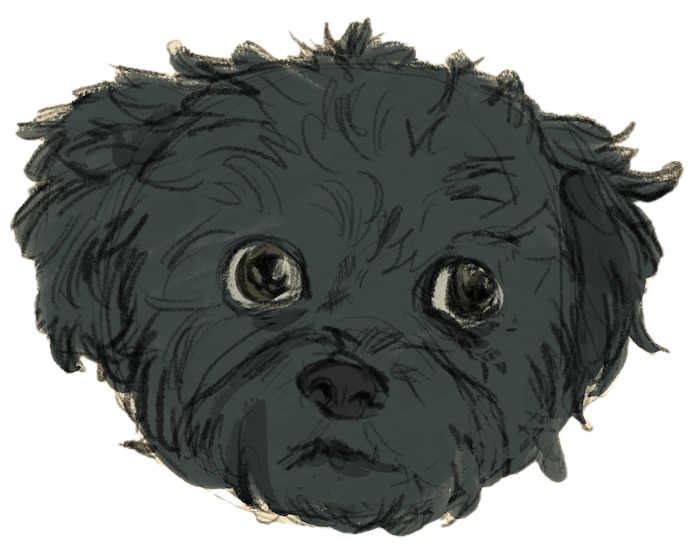 murphy mock.png