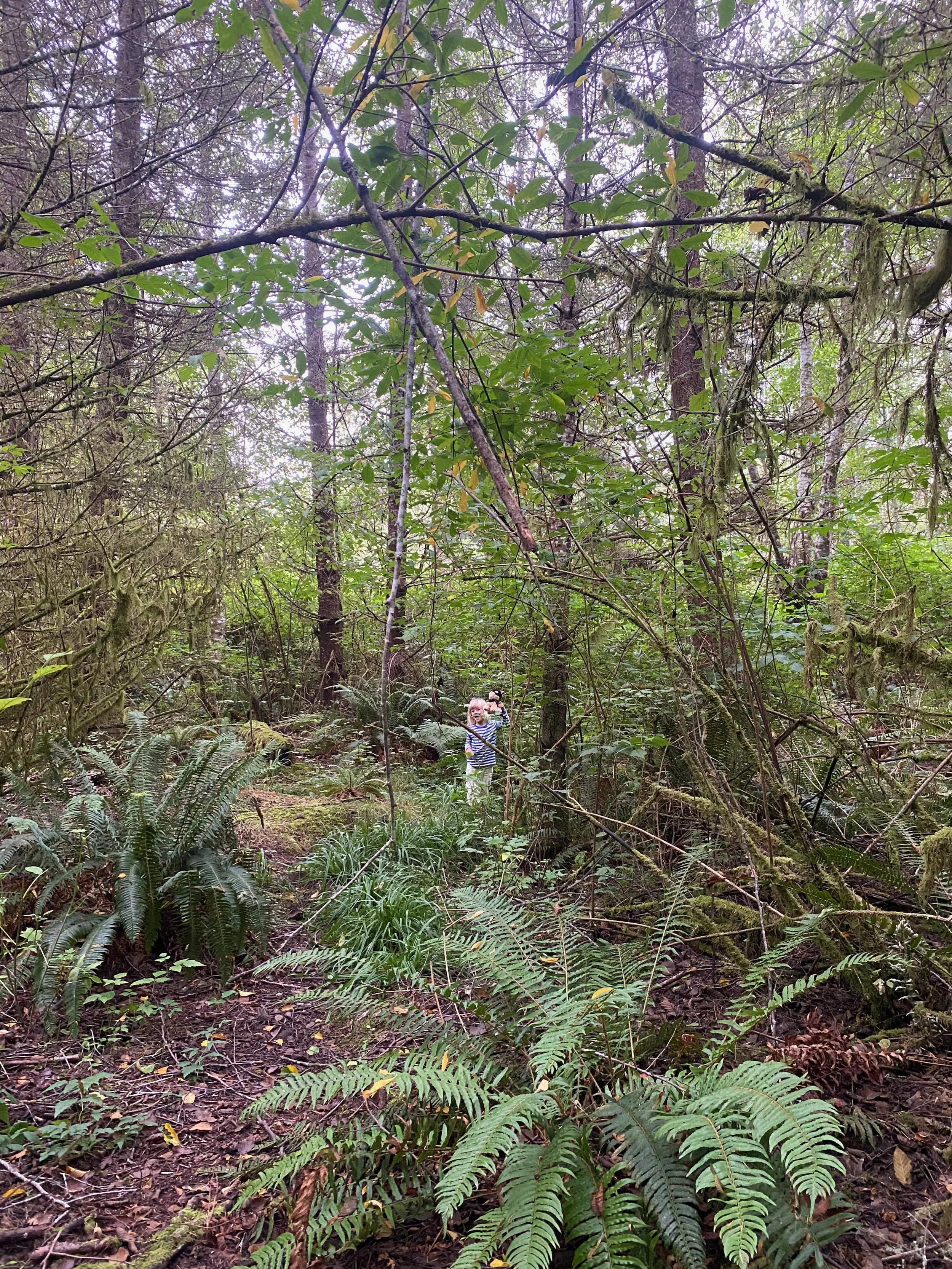 A young girl wearing a striped shirt and beige pants, standing on a forest trail, waving at the camera, surrounded by lush green ferns and moss-covered trees.