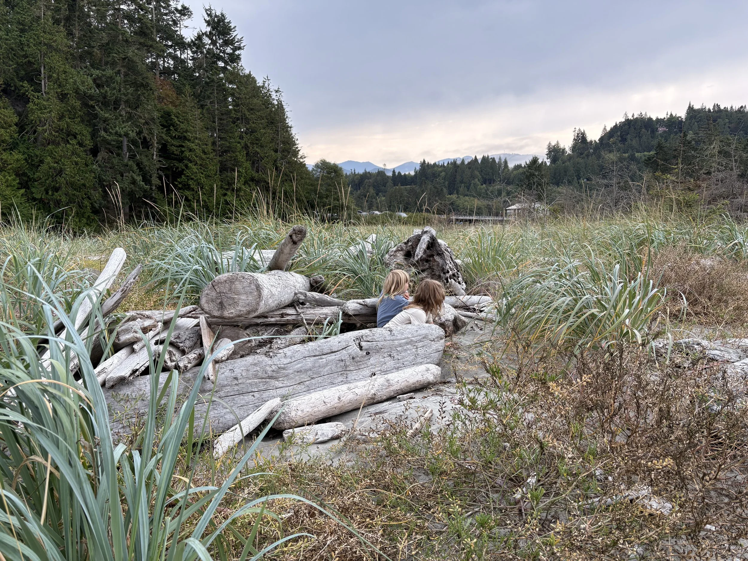 Two children sit on driftwood logs in a grassy wetland, with a background of trees and mountains under a cloudy sky.
