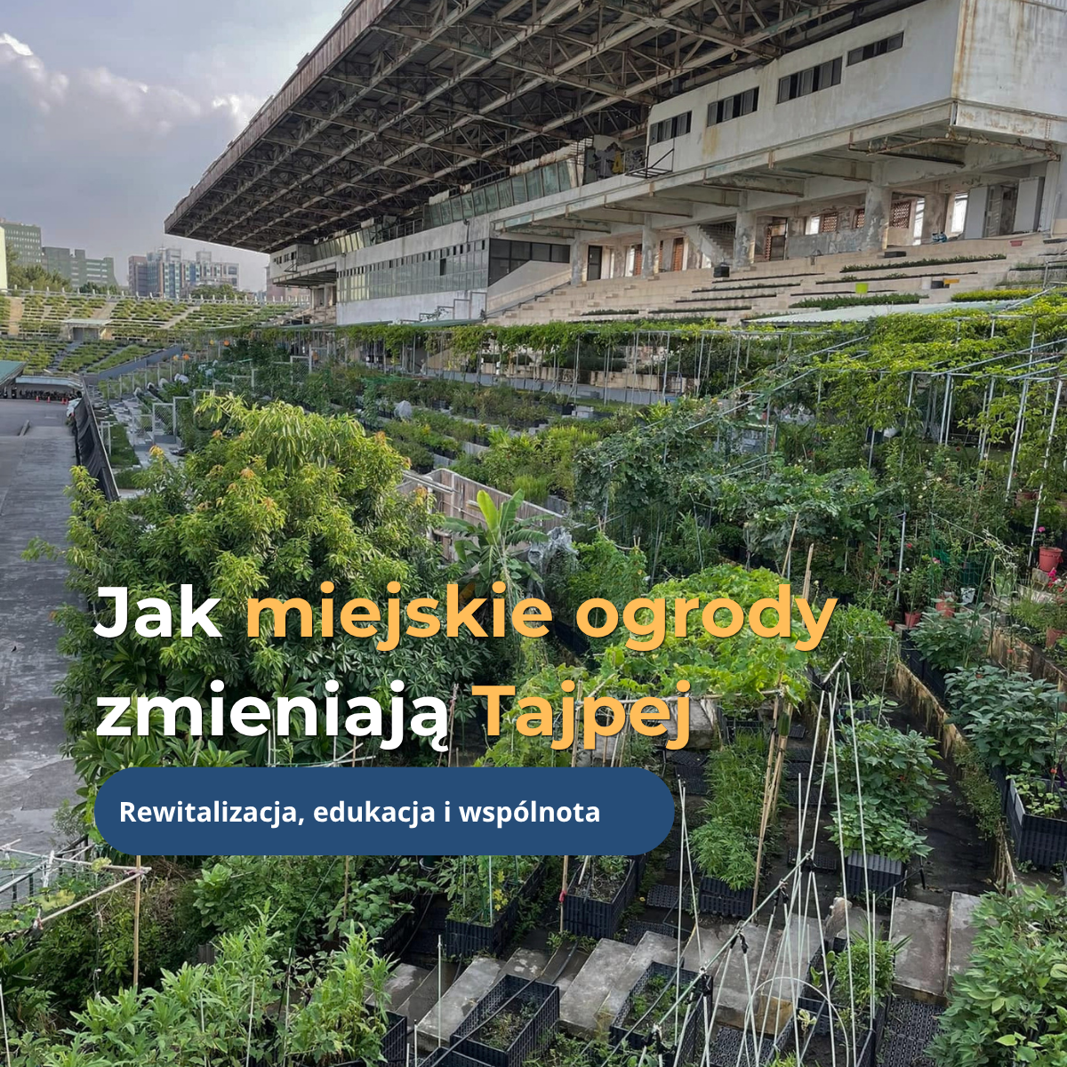 Jak dawny stadion może stać się przestrzenią, która ponownie łączy mieszkańców? Przykład z Tajwanu
