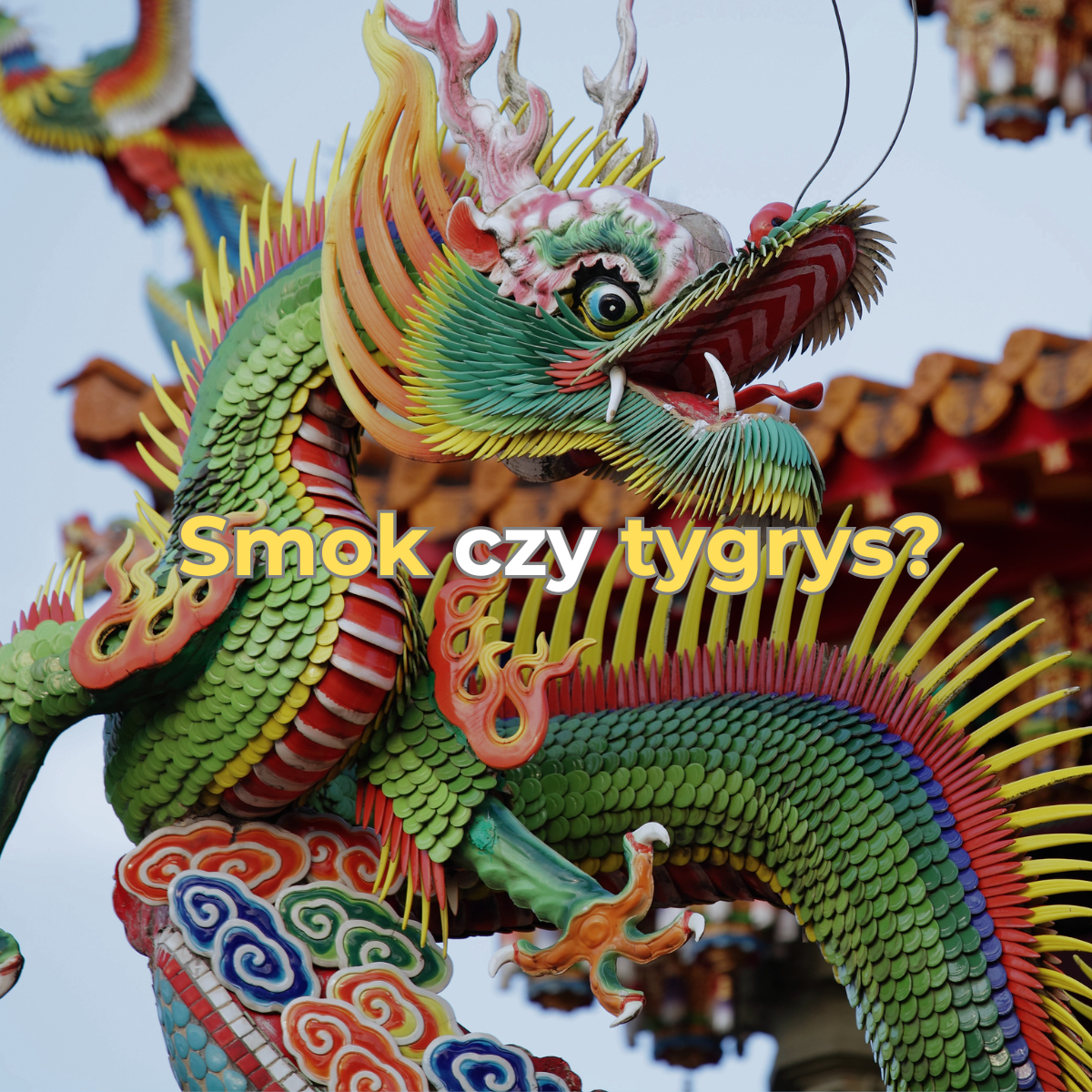 Tygrys czy smok?