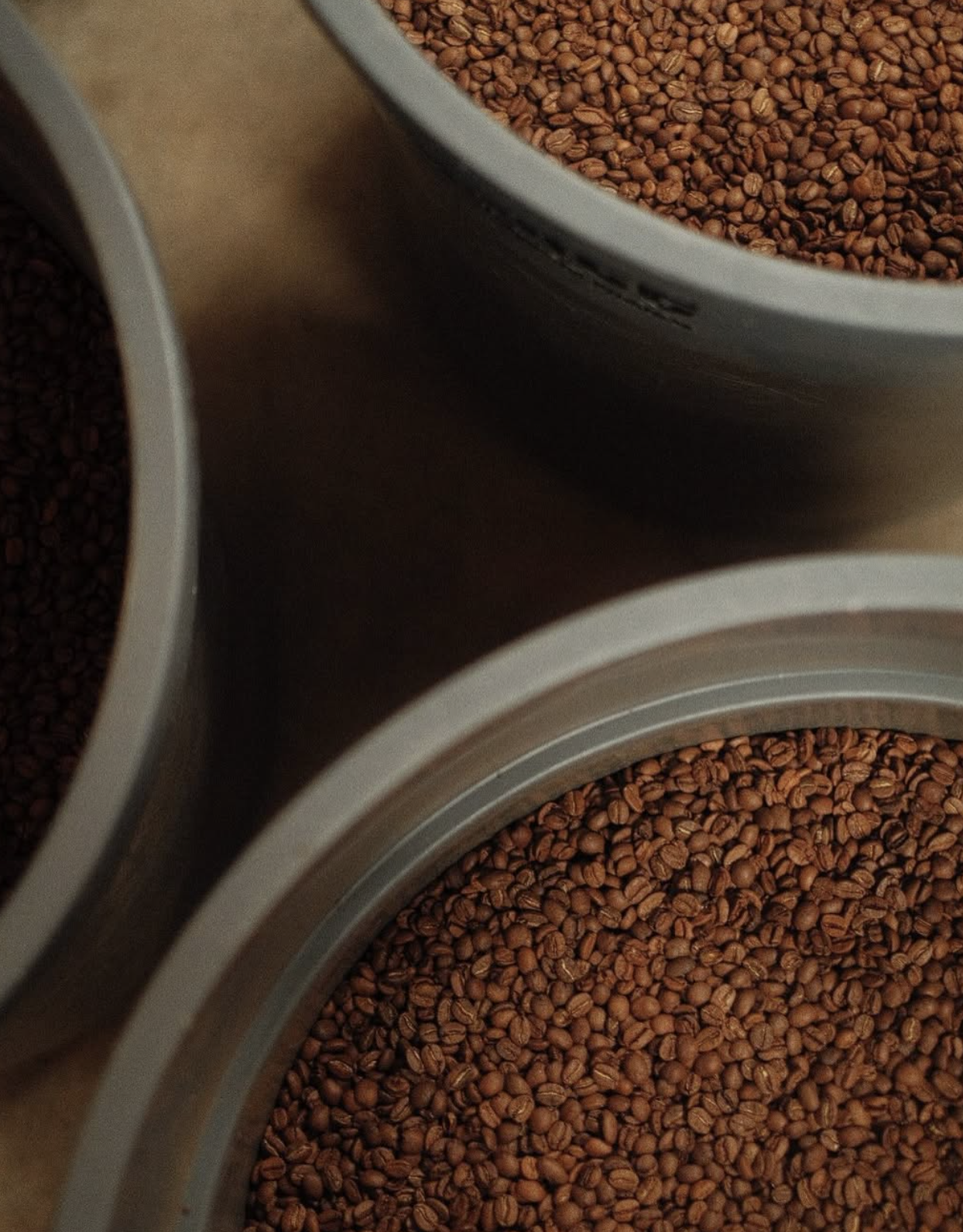 Close-up of jars filled with roasted coffee beans.
