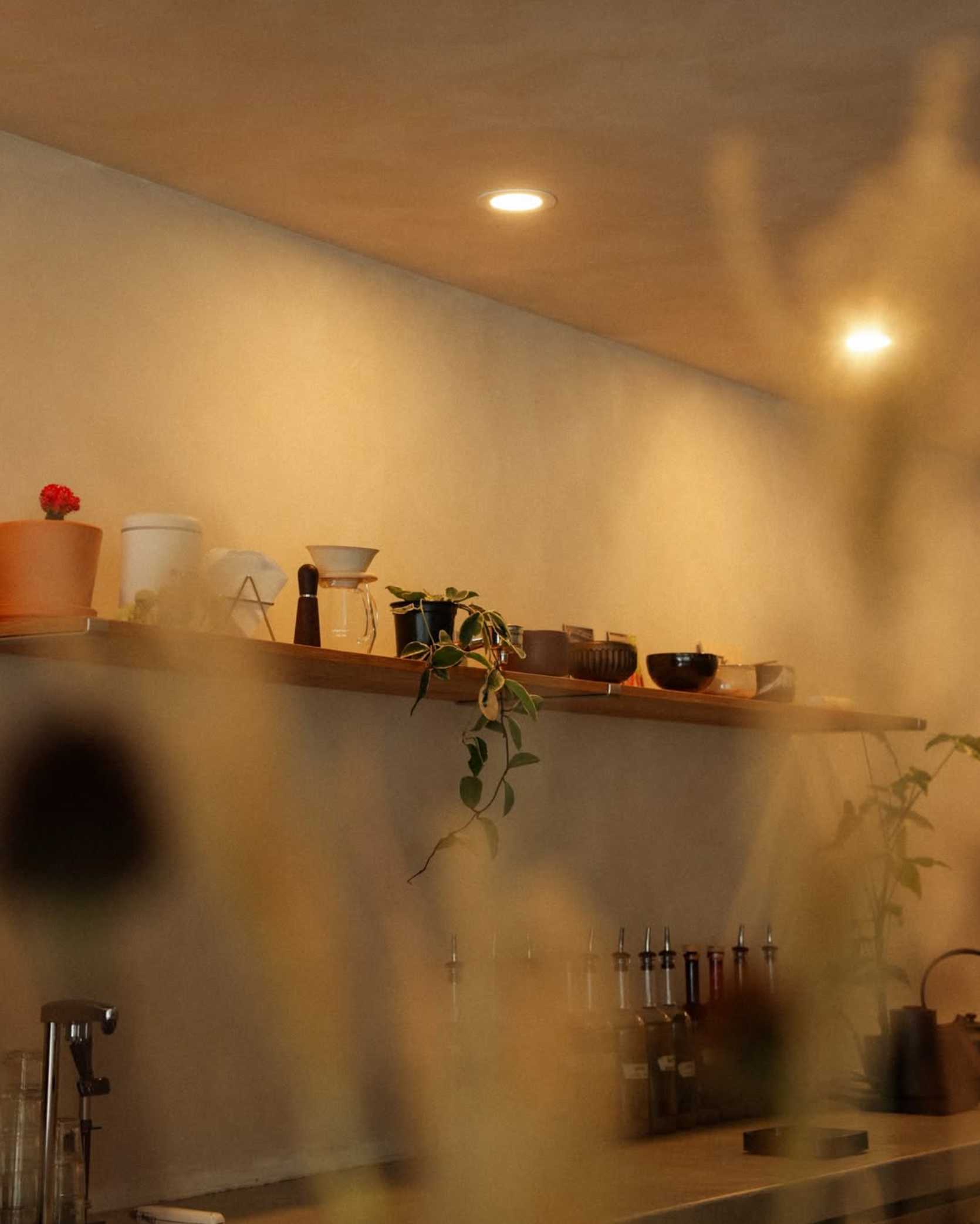 A wooden shelf with plants, bowls, and cups, above a counter with syringes and bottles, in a room with beige walls and ceiling lights.