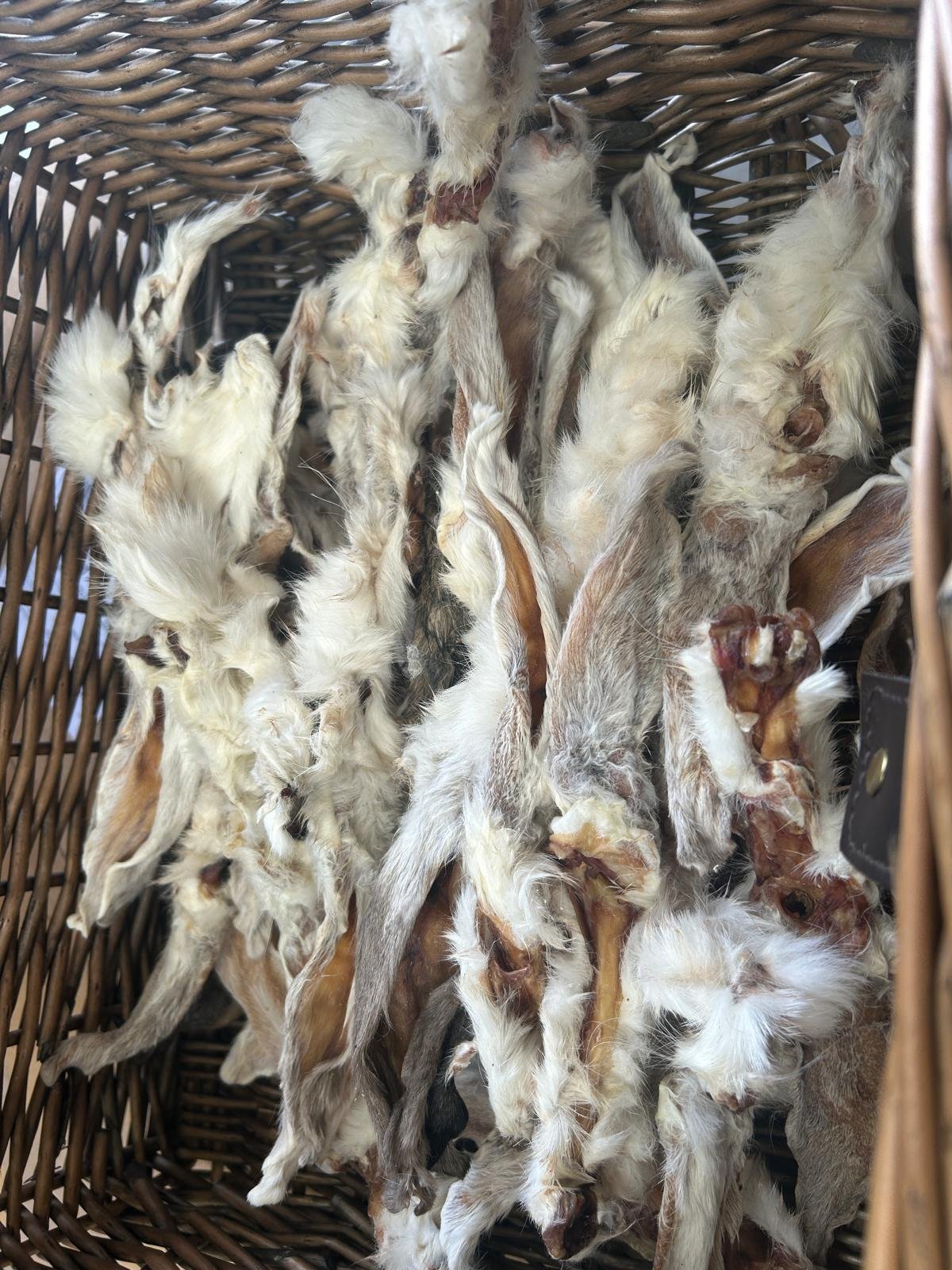 Rabbit Ears