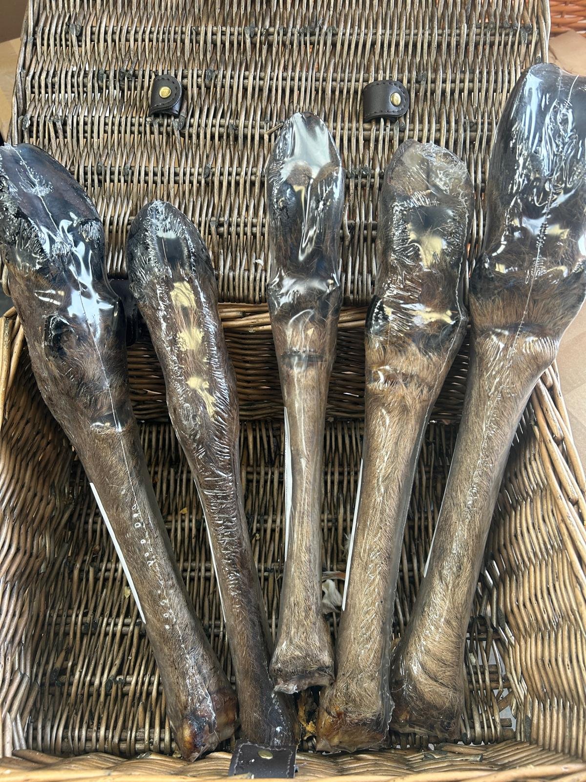 Reindeer Feet