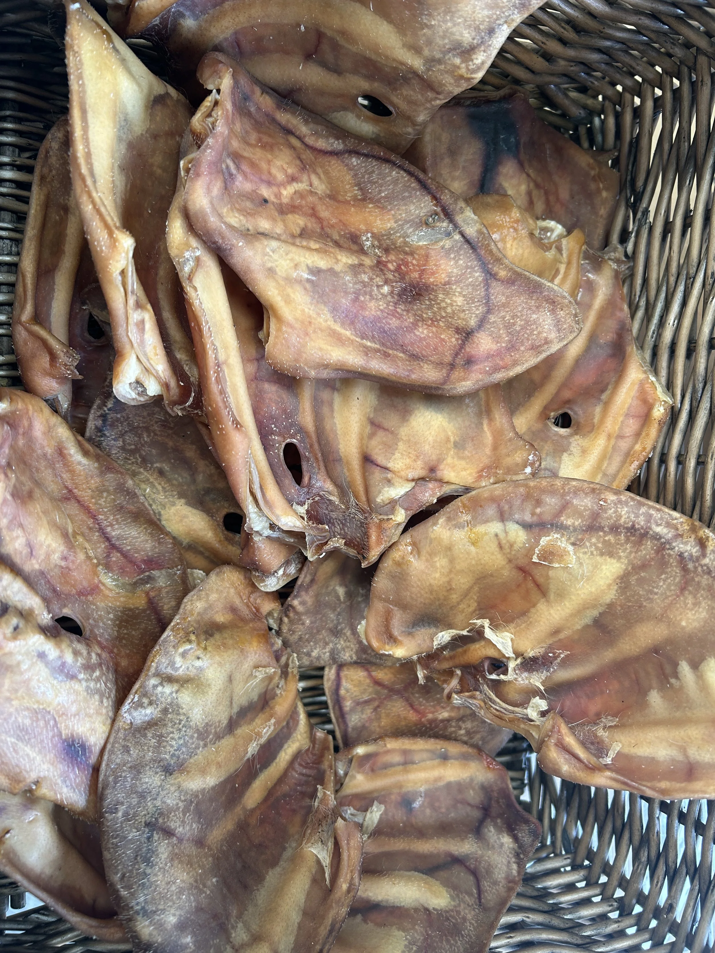 Pigs  Ears